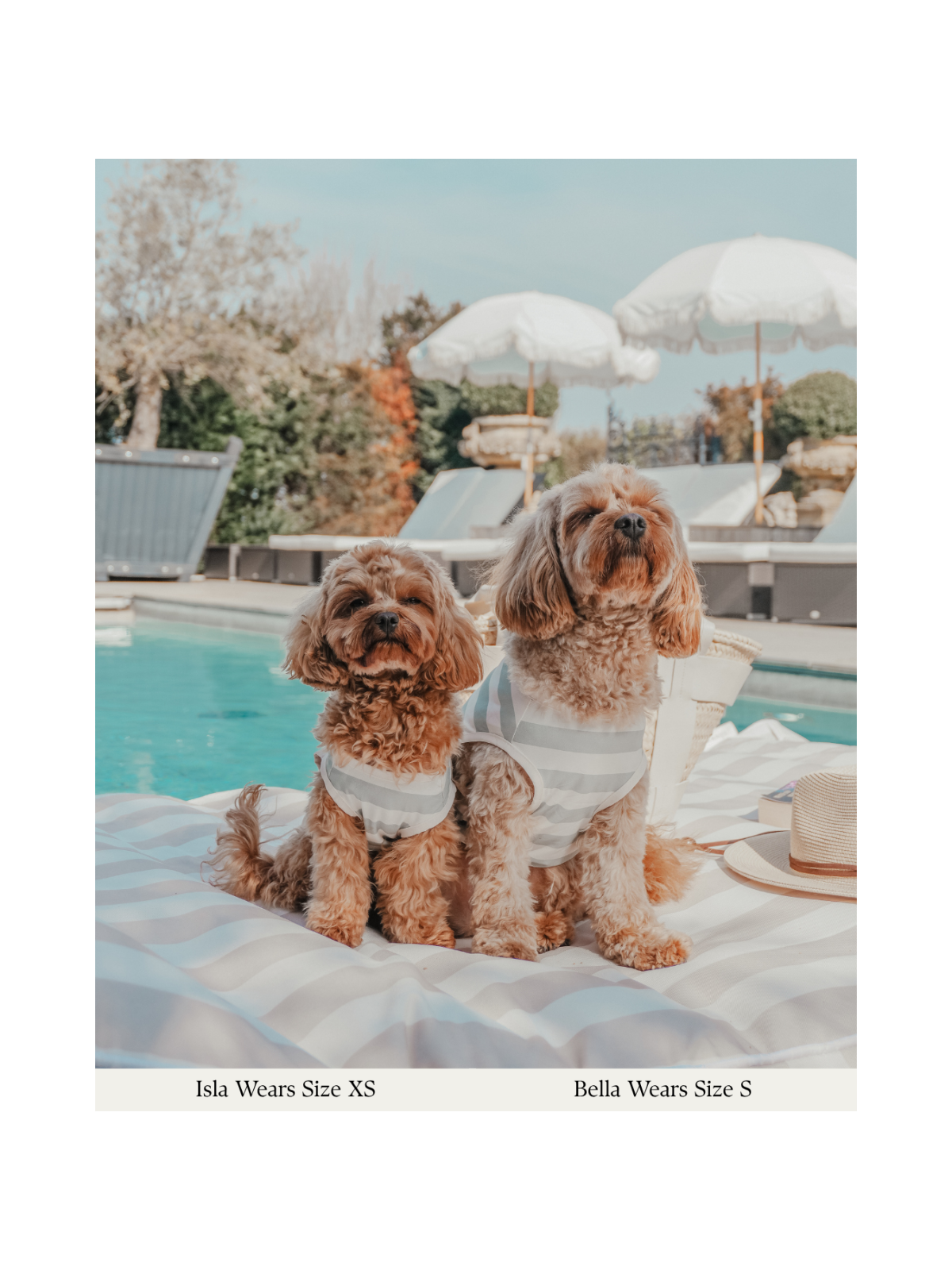 Summer Breeze Cooling Vest – Matcha