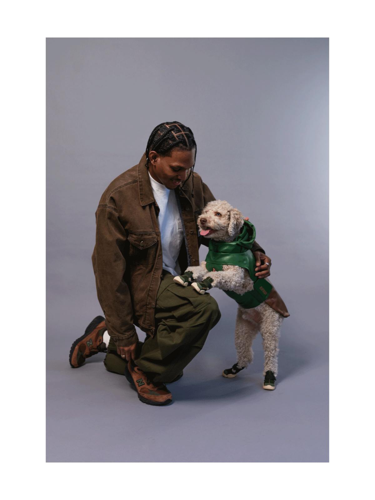 Caesar 1 Dog Sneaker – Birch