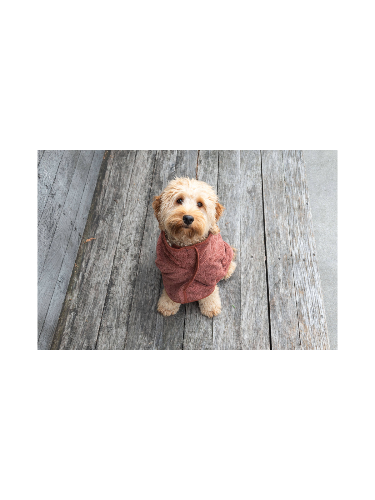 Dog Bathrobe – Brown