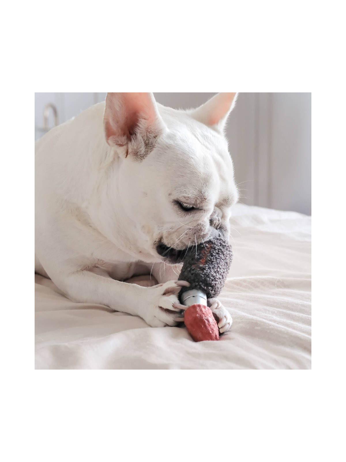 Lipstick Dog Toy