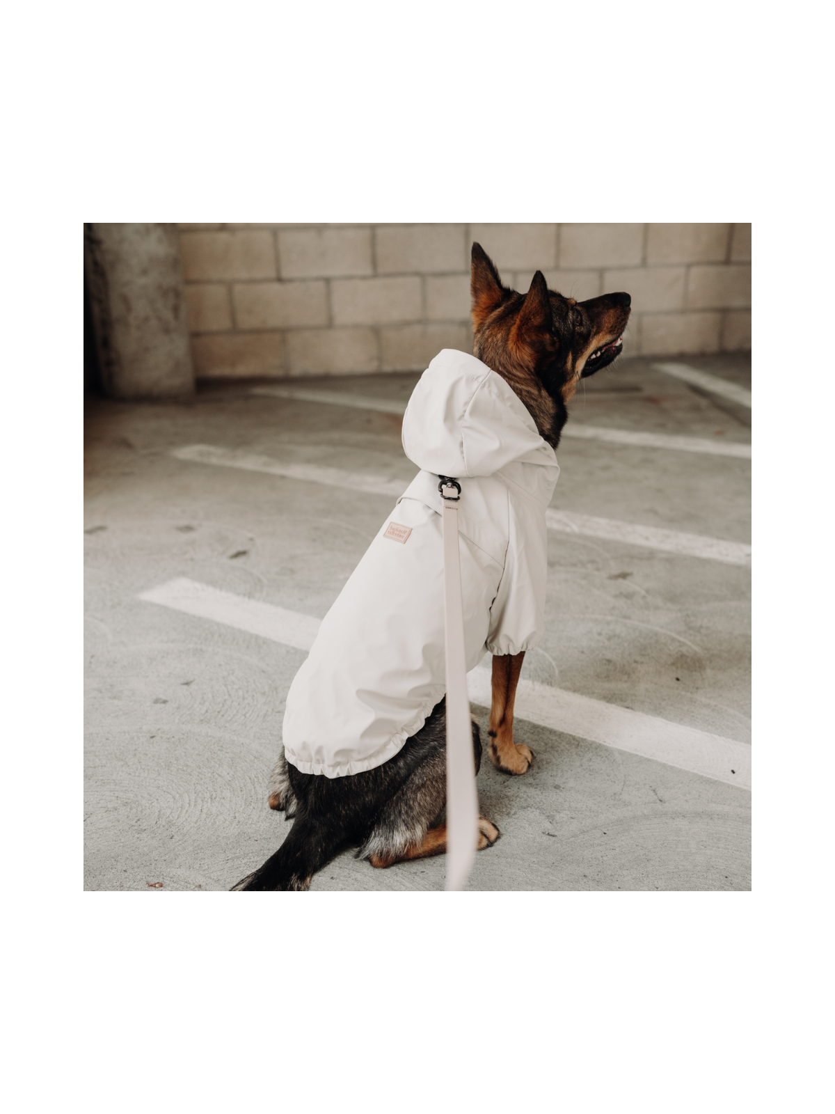 Brighton Packable Dog Rain Coat