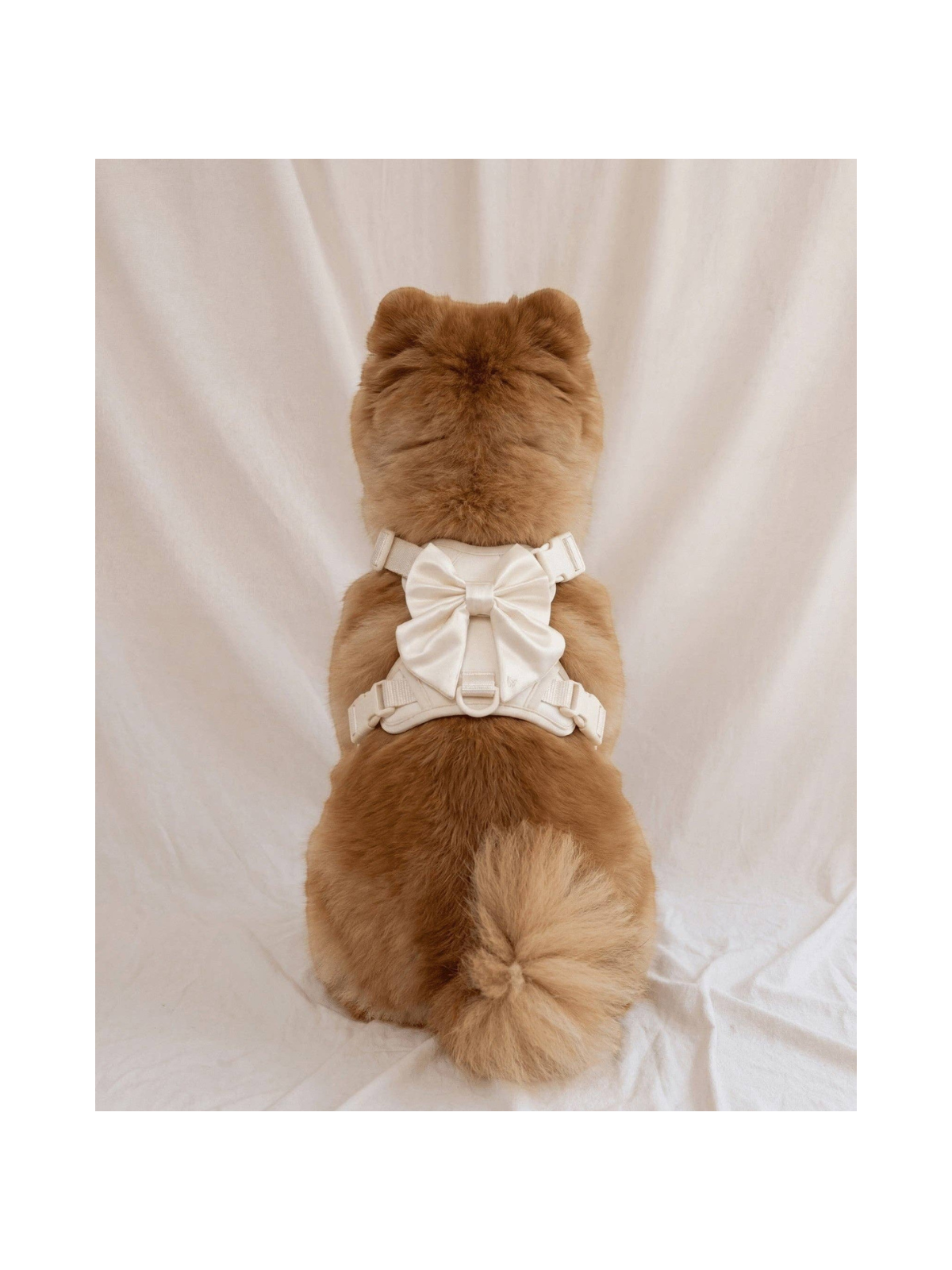 Wander! Bow Harness 2.0 – Pearl