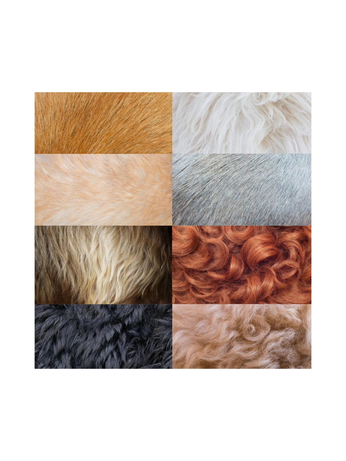 Sensitive Skins Detox Shampoo