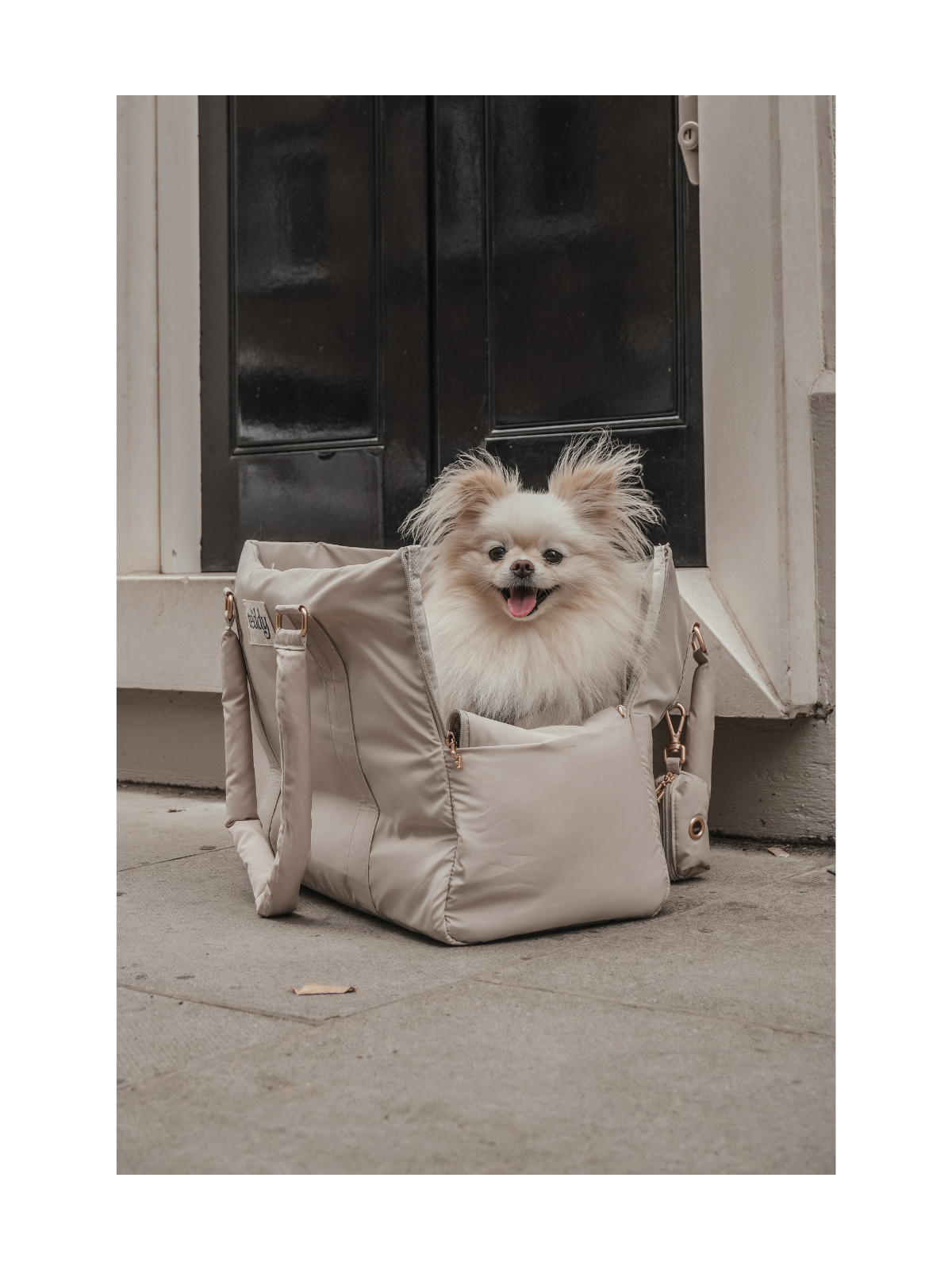 Puffer Dog Carrier – Hazelnut