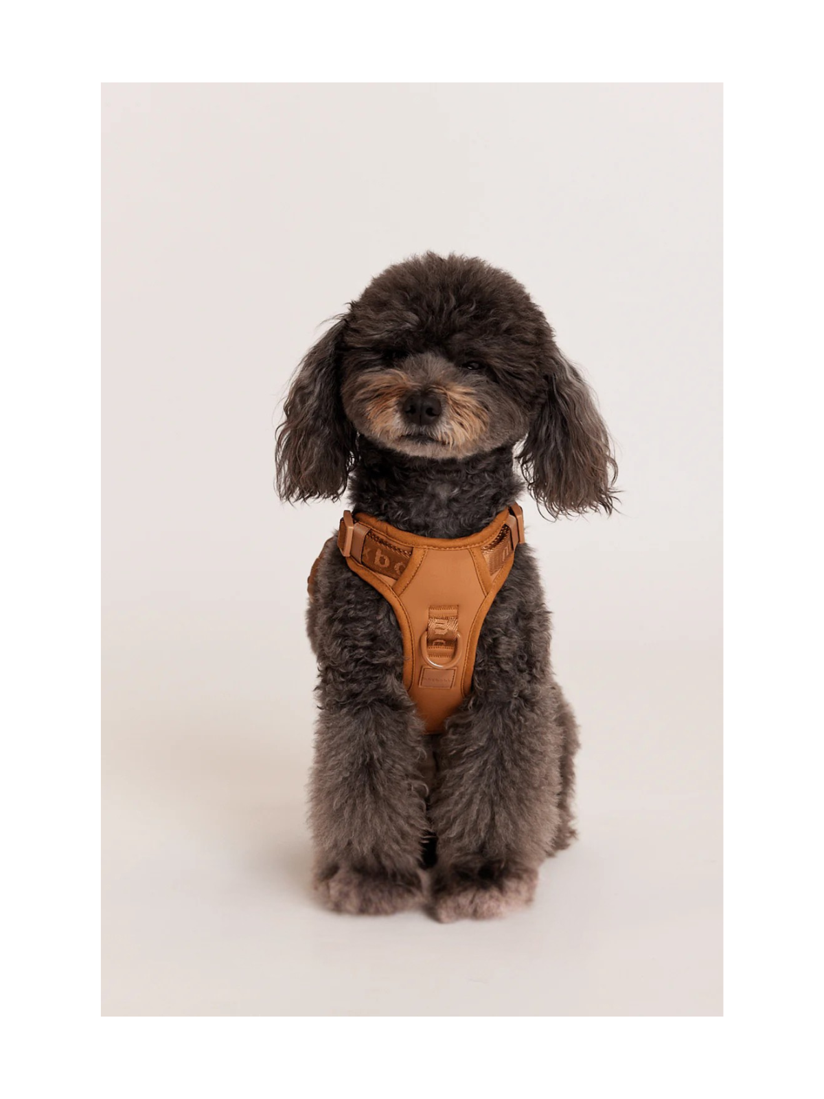 Easy Fit Dog Harness – Camel
