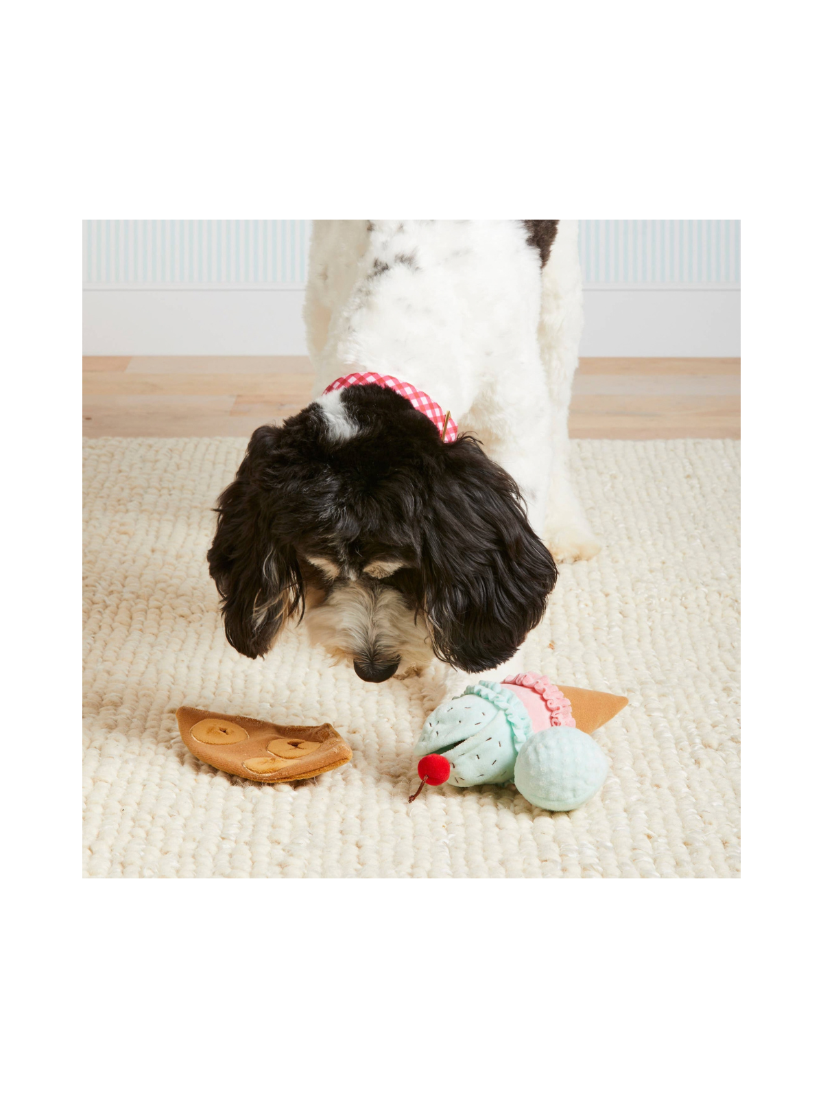Ice Cream Interactive 2-in-1 Bounce Dog Toy