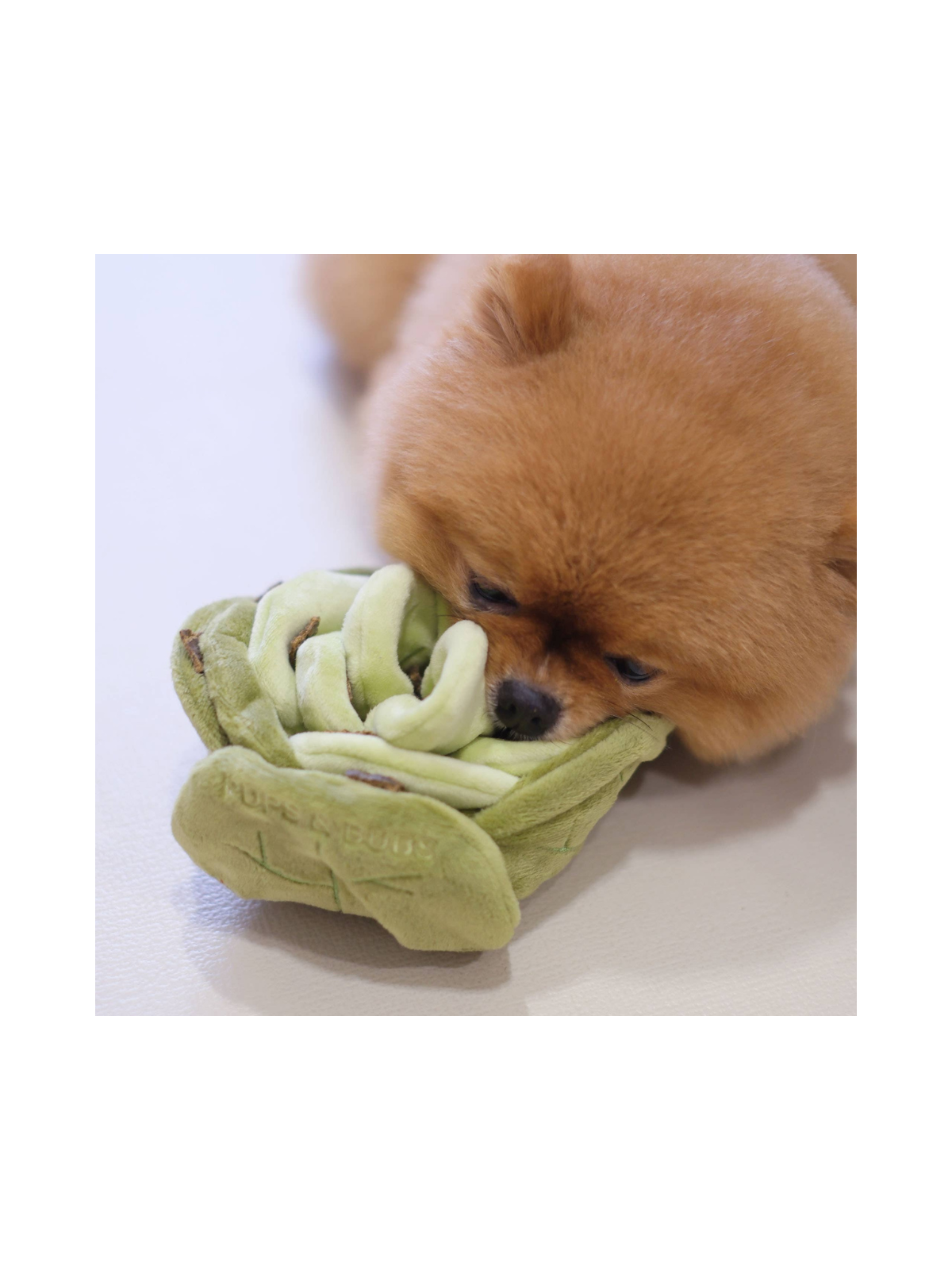 Snuffle Cabbage Nosework Toy