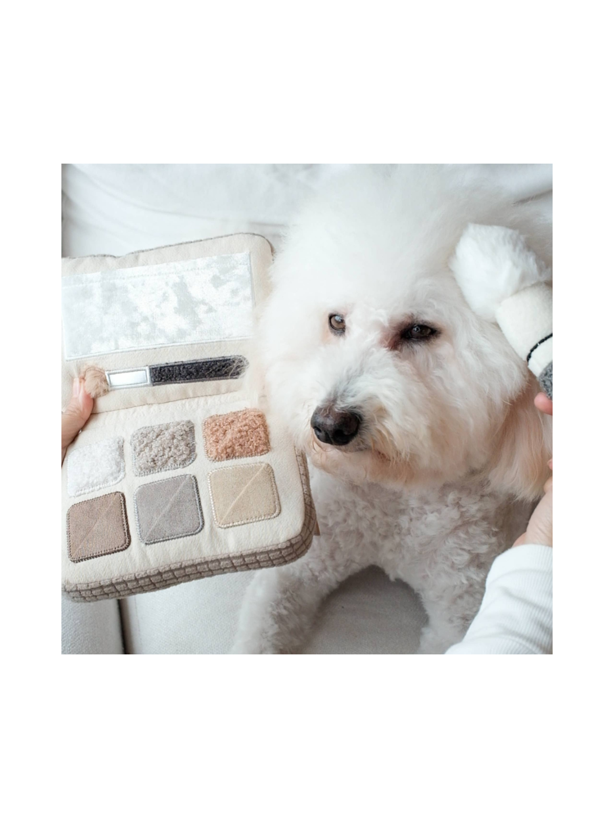 Eyeshadow Palette Enrichment Dog Toy