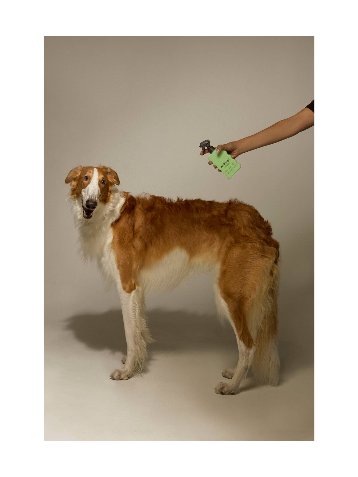 Skin + Coat Spray
