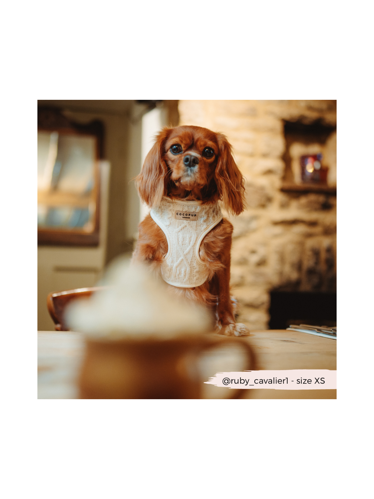 Cable Knit Jumper Adjustable Neck Harness - Vanilla White