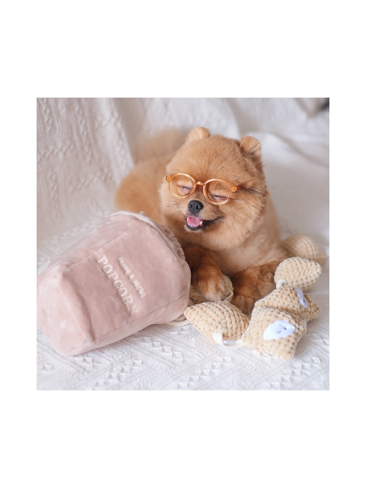 Popcorn Nosework Toy