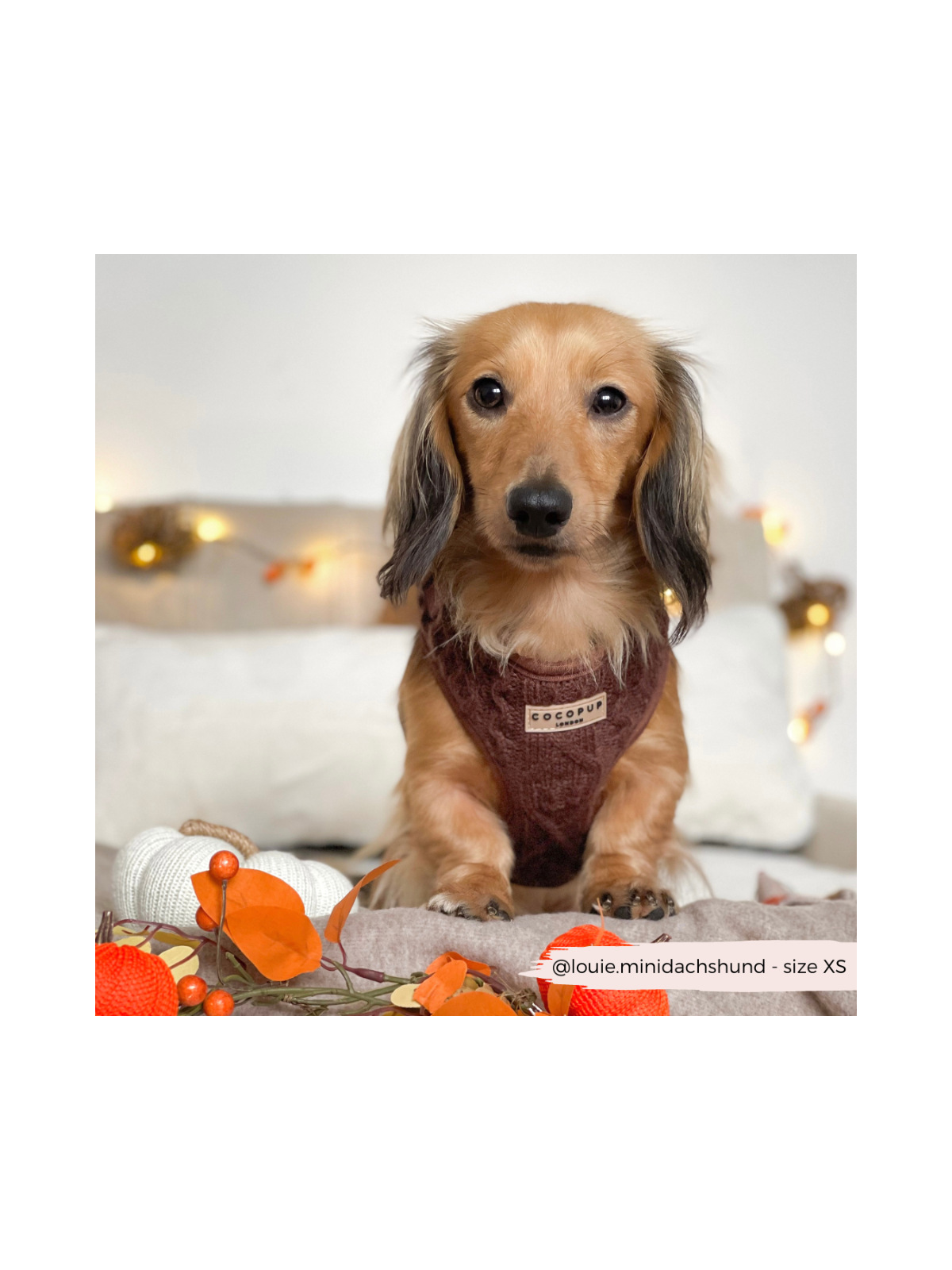 Cable Knit Jumper Adjustable Neck Harness - Hot Coco Brown