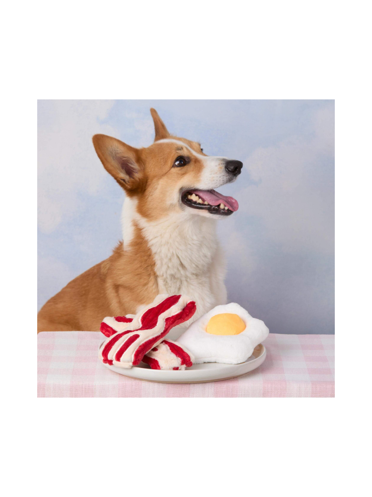 Bacon & Egg Interactive Dog Toy Set