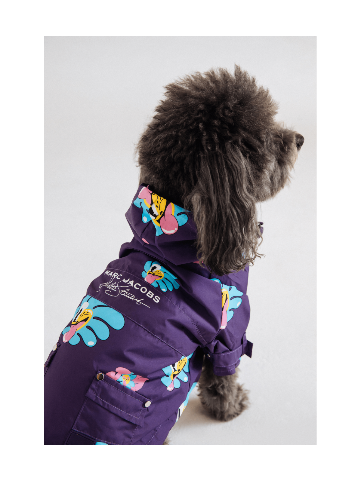 Marc Jacobs x Hattie Stewart Raincoat – Limited Edition Designer Dog Raincoat