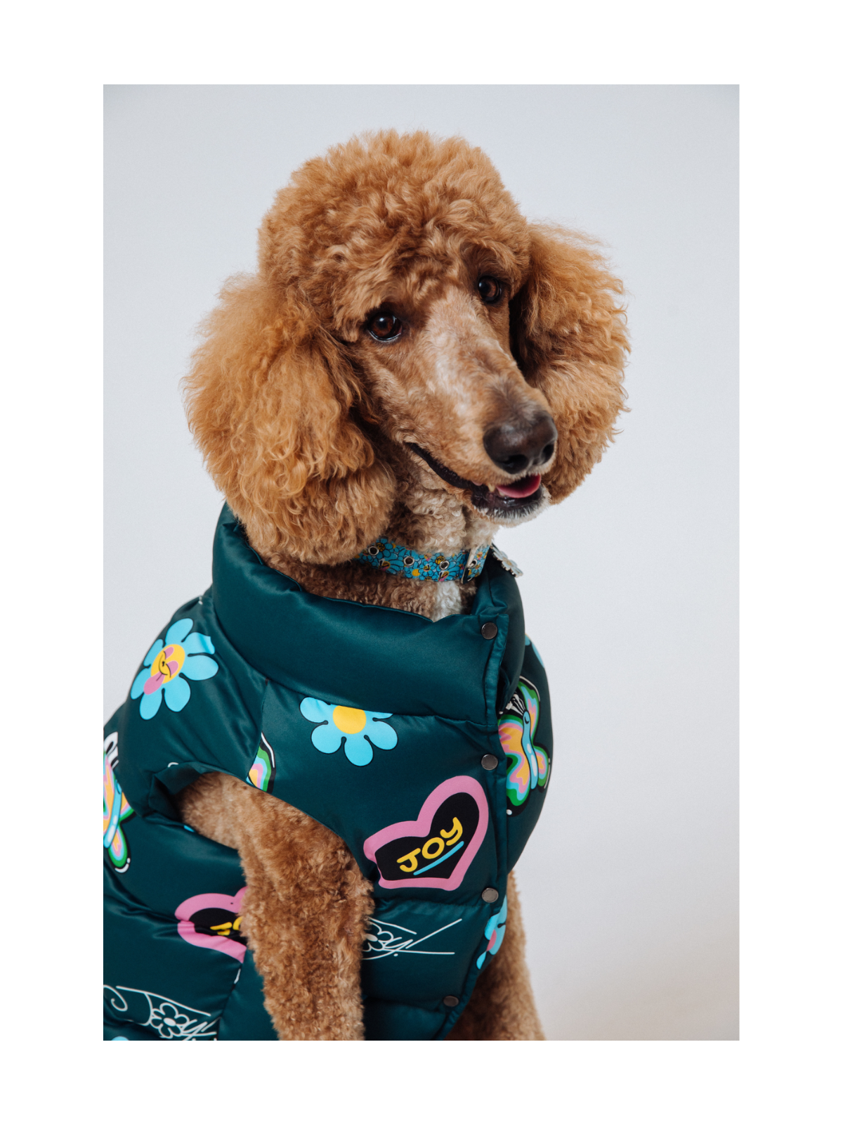 Marc Jacobs x Hattie Stewart Green Puffer Dog Vest – Arabella Limited Edition
