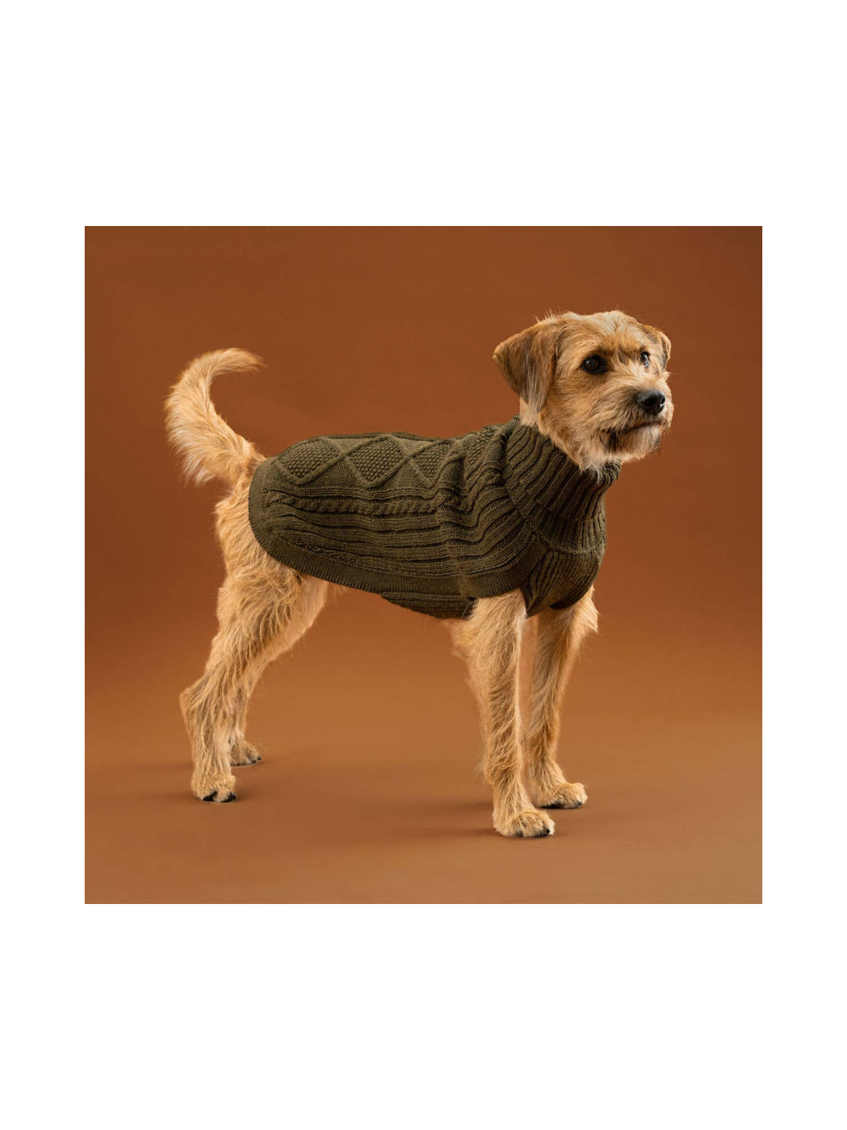 Aran Alpaca Dog Sweater – Forest Green