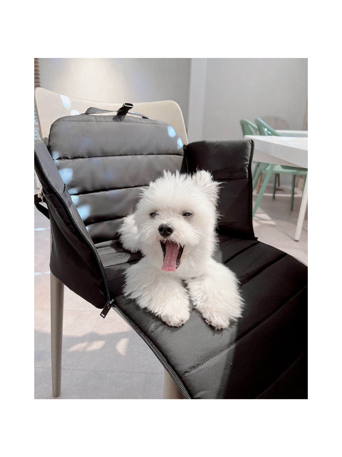 Everywhere Convertible Tote Bag – Black