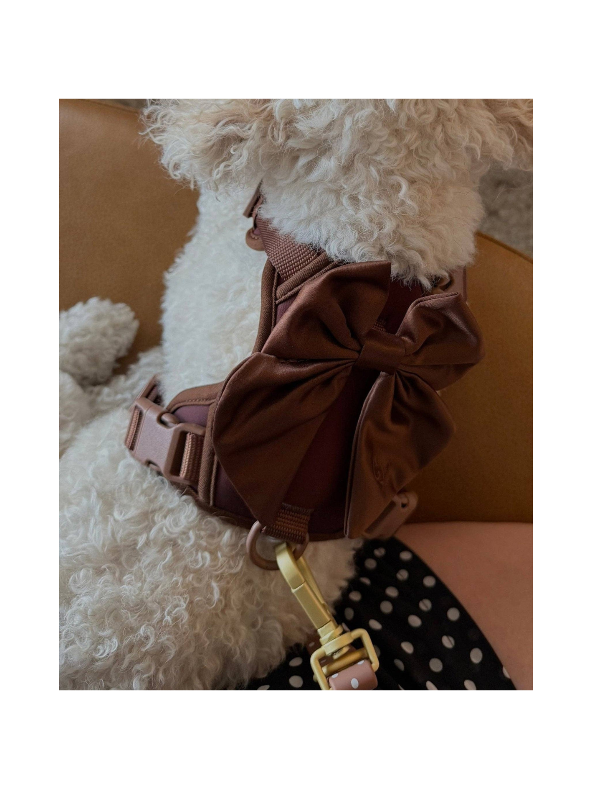Wander! Bow Harness 2.0 – Cocoa