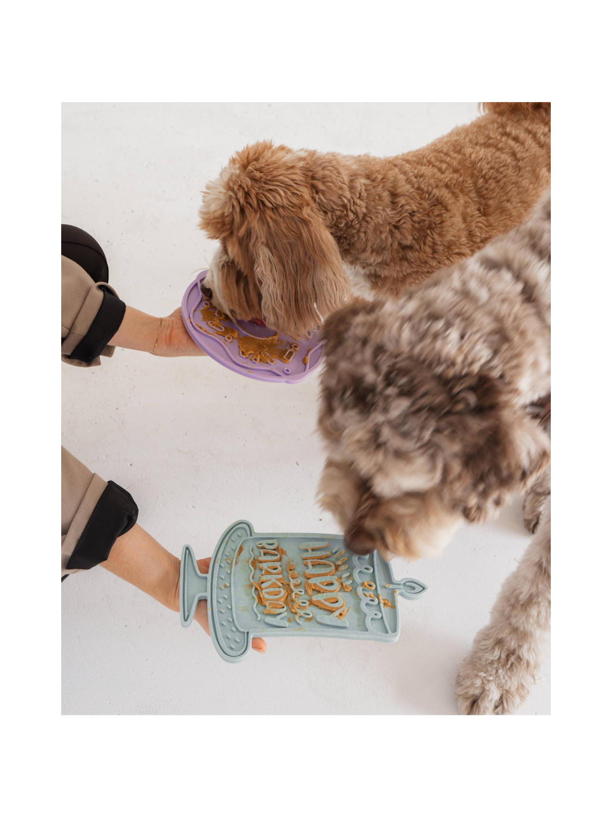 Barkday Bash Enrichment Lick Mat
