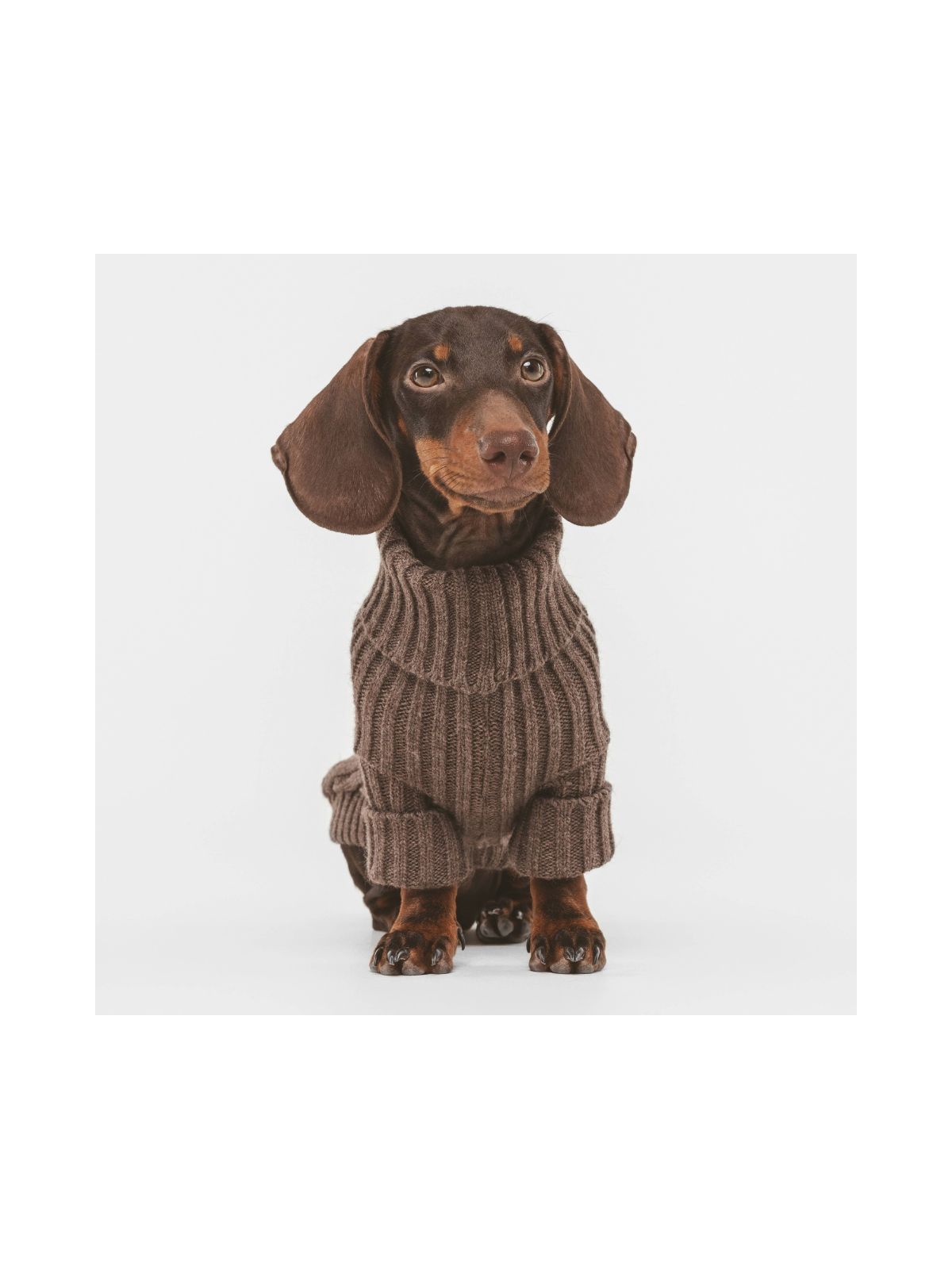 Pantone Sweater – Moka