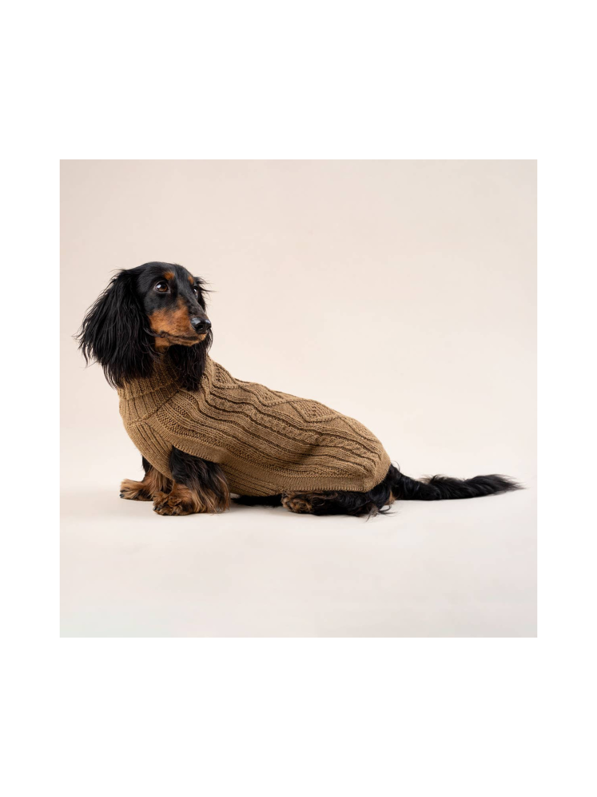 Aran Alpaca Dog Sweater – Camel
