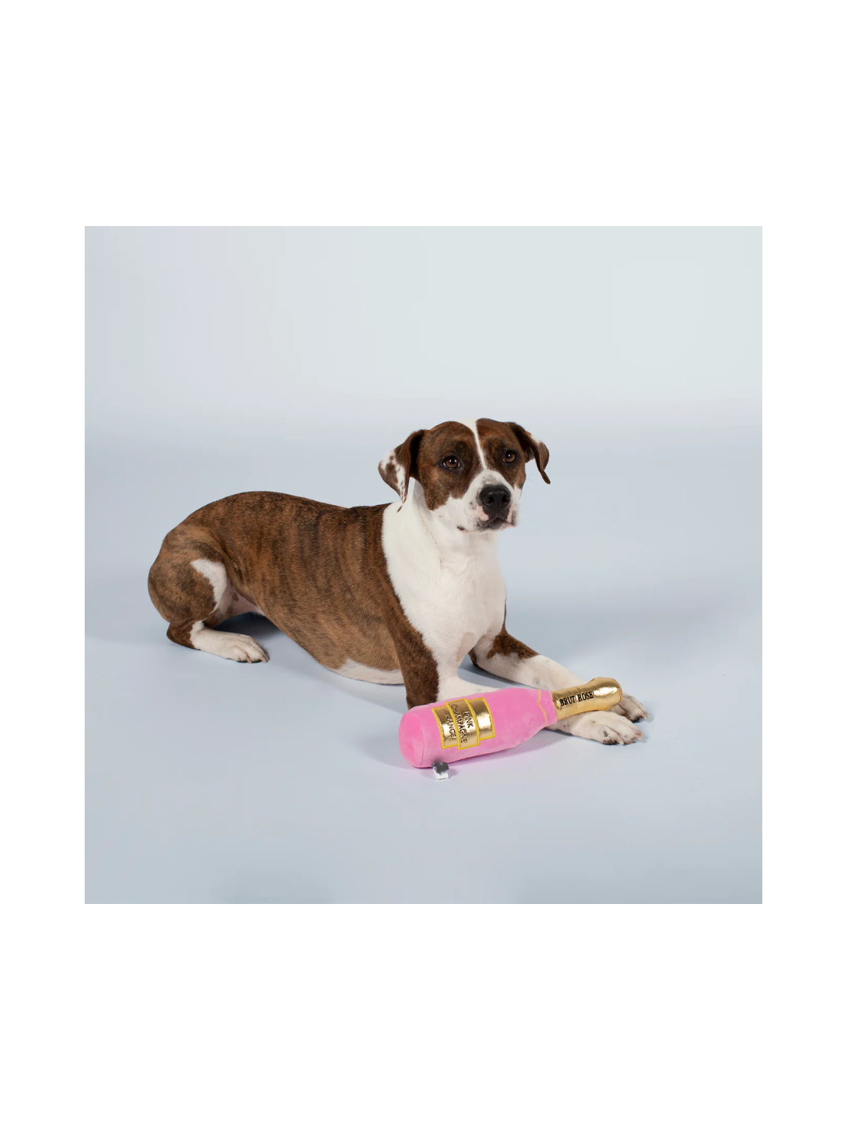 Brut Rosé Champagne – Squeaky Plush Dog Toy