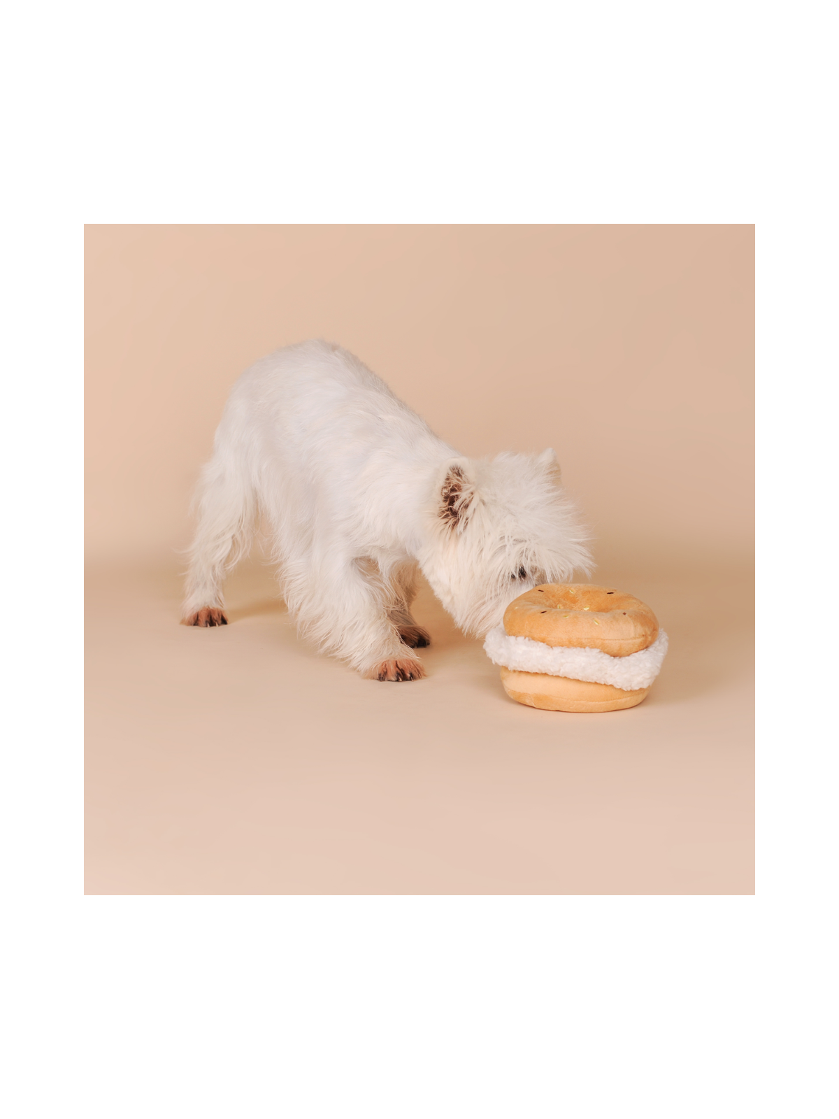 Bagel Plush Dog Toy