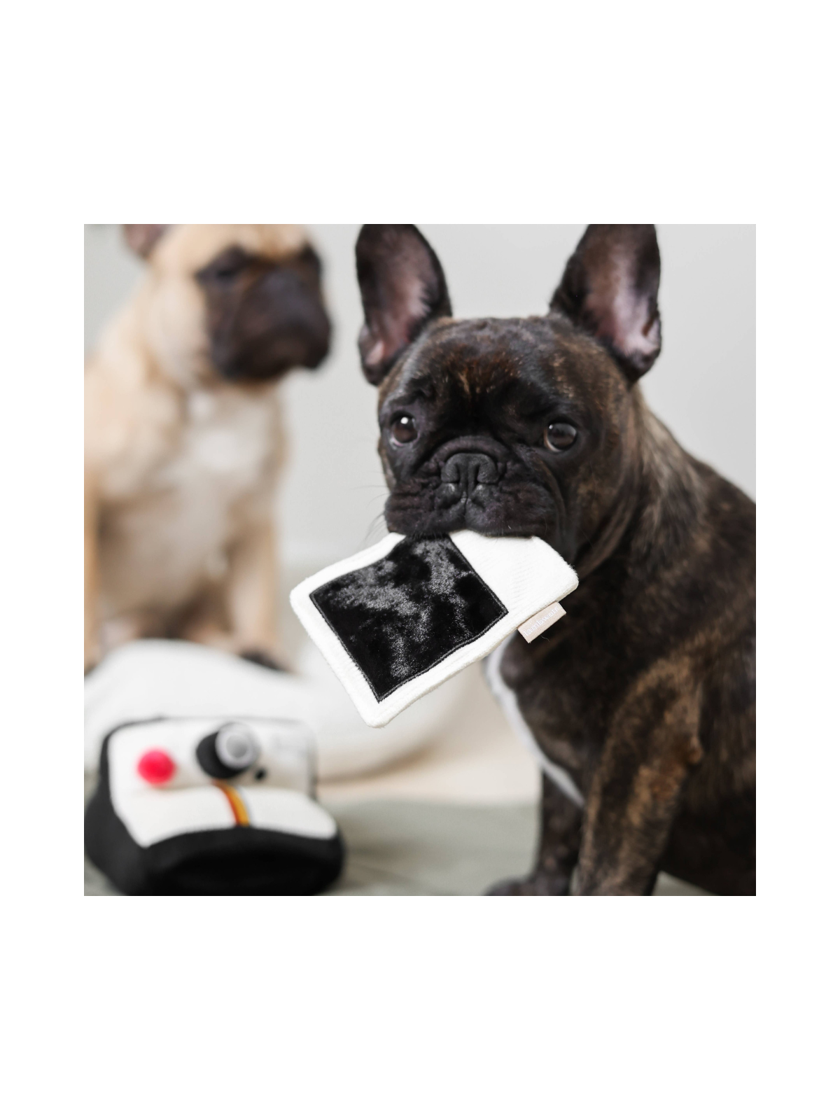 Instant Camera Snuffle Toy