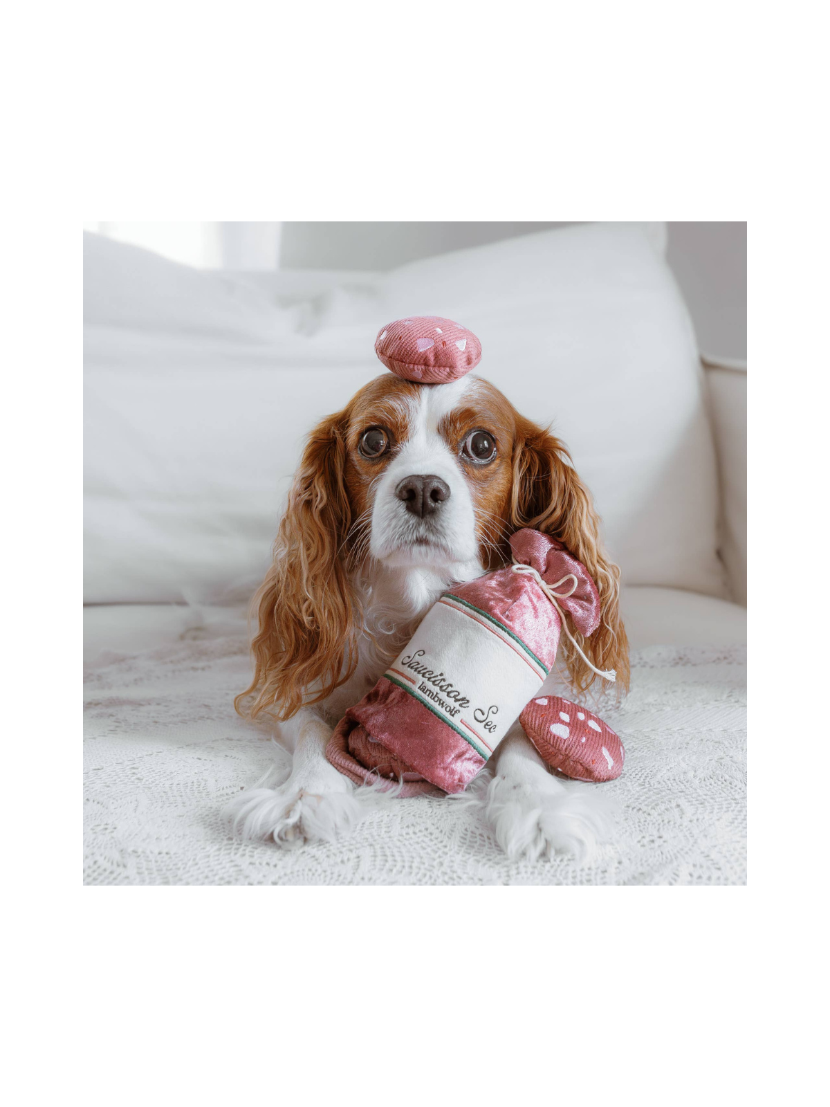 Saucisson Sec Enrichment Dog Toy