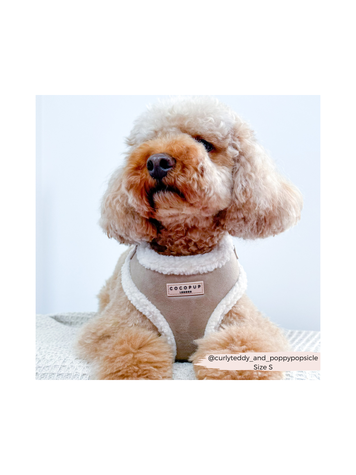 Nude Aviator Adjustable Neck Harness – Faux Suede with Fluffy Trim