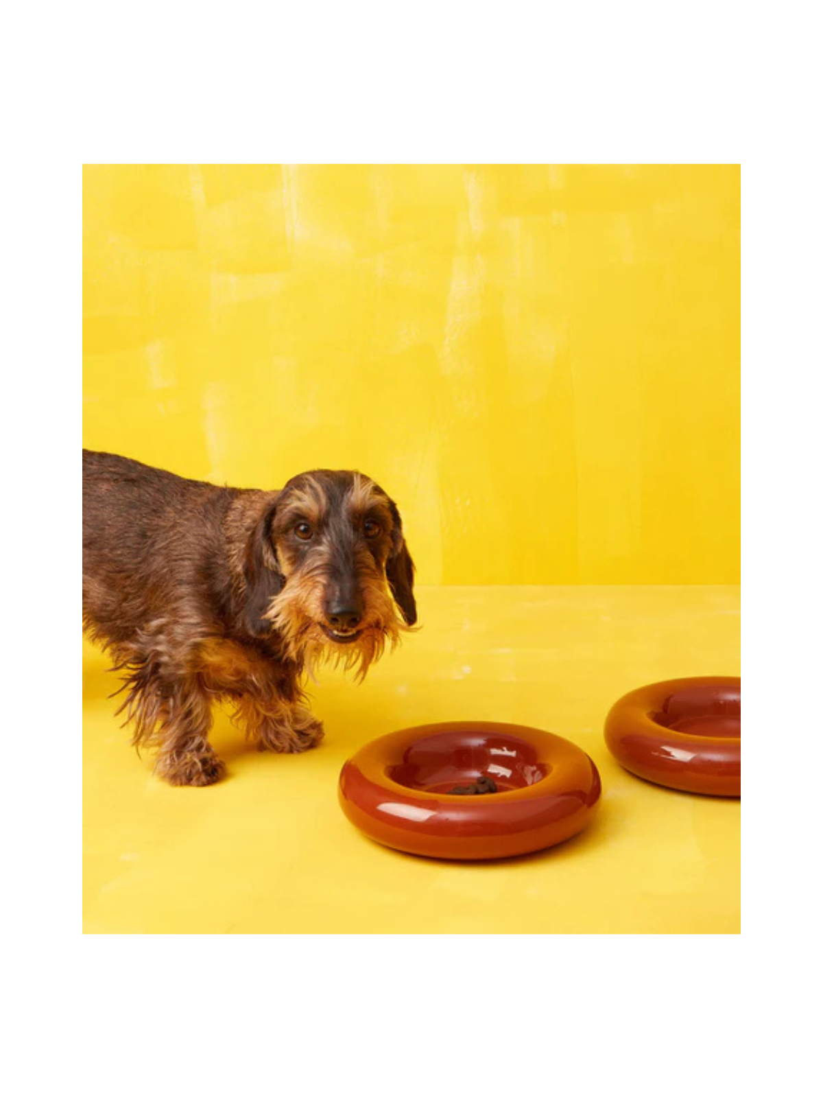 Ceramic Dog Bowl – Brown