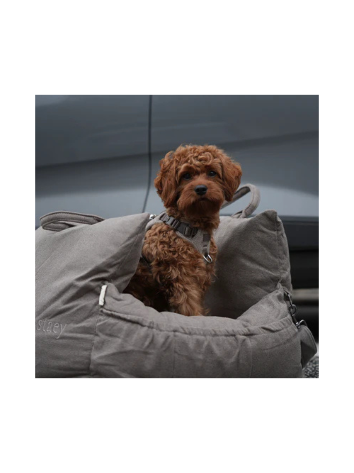 3-in-1 Dog Car Seat & Carrier – Taupe