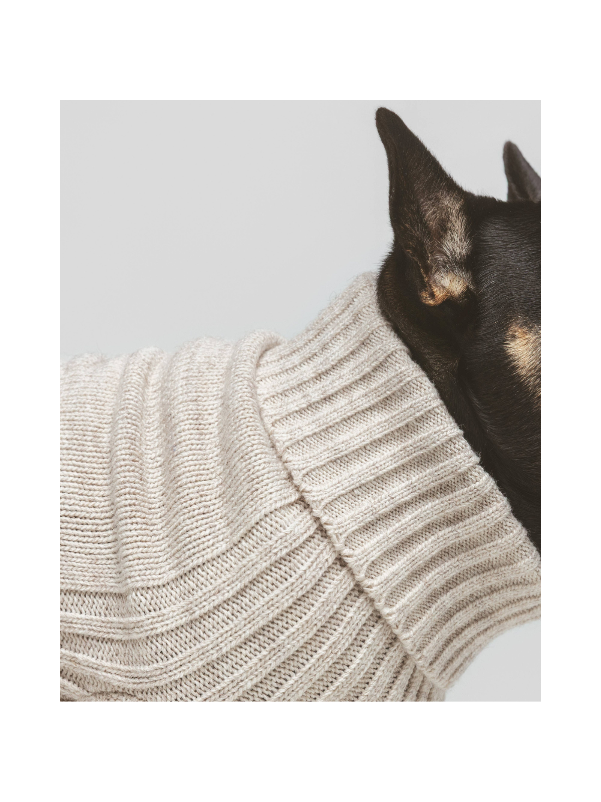 Pantone Sweater – Bone