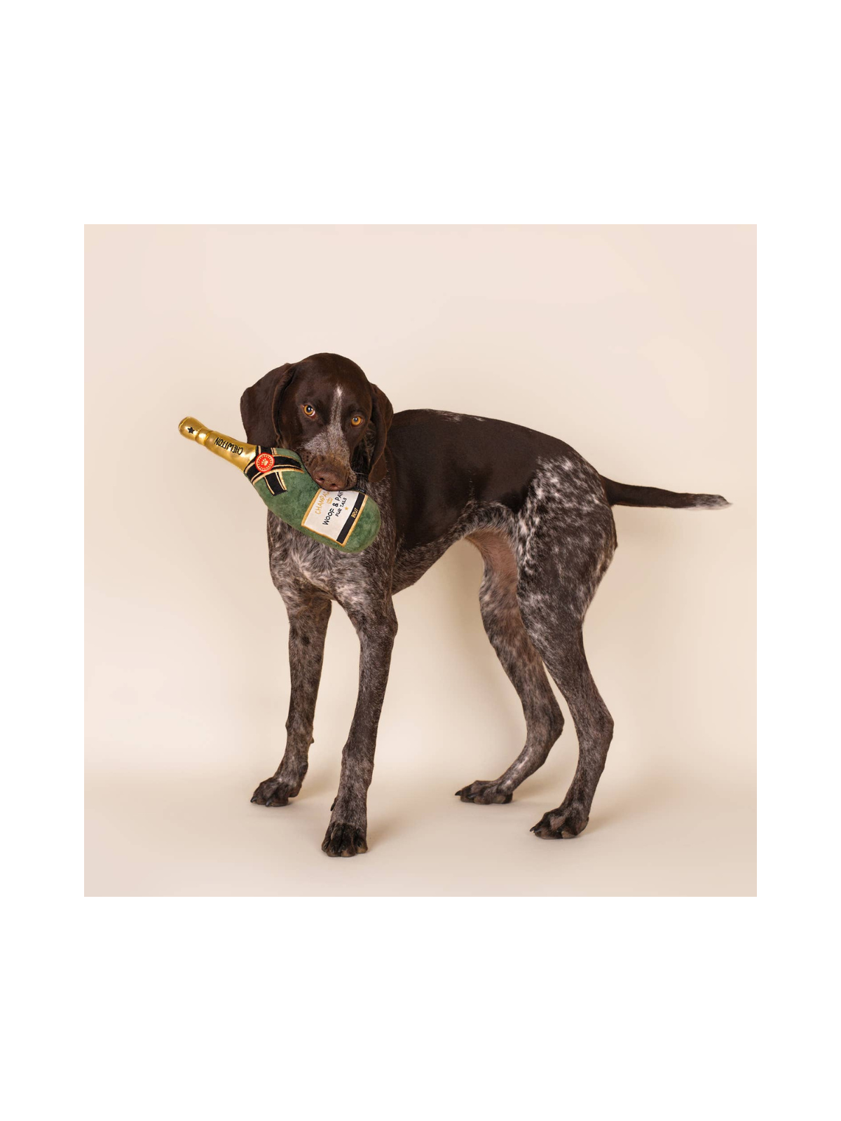 Champagne Bottle Dog Toy