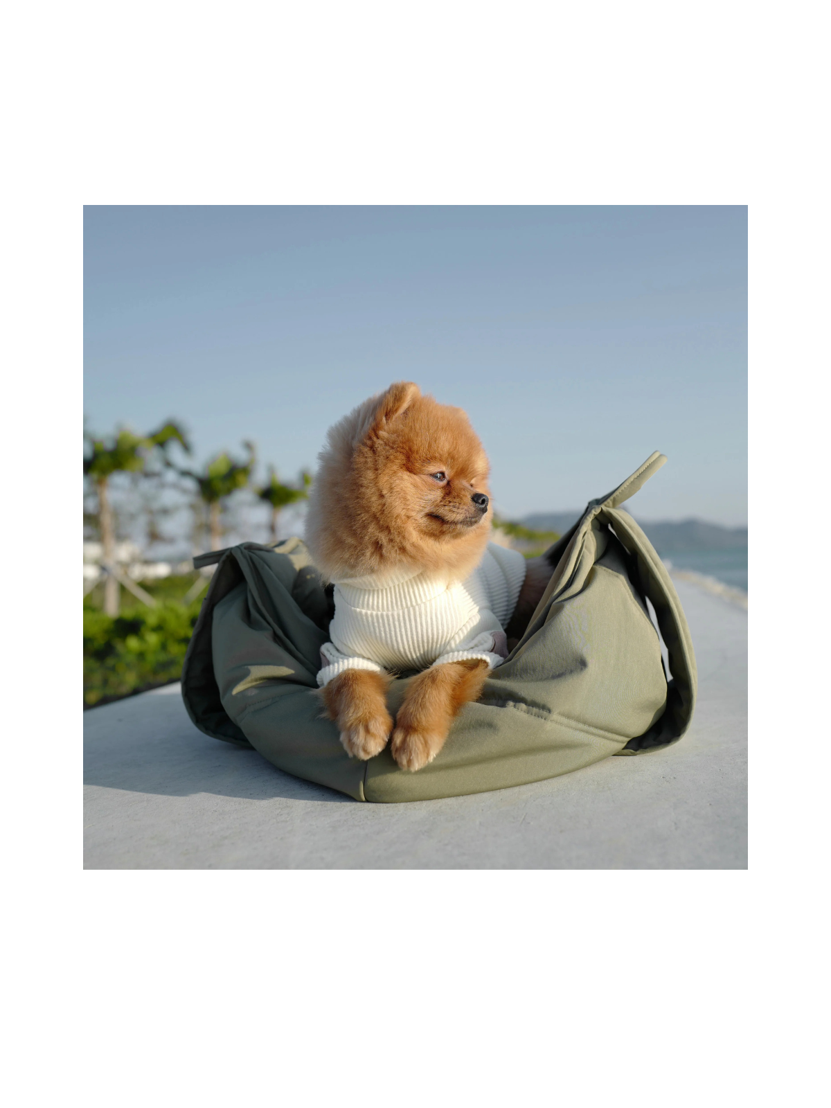 OLLA Petite Pet Carrycot – Fern