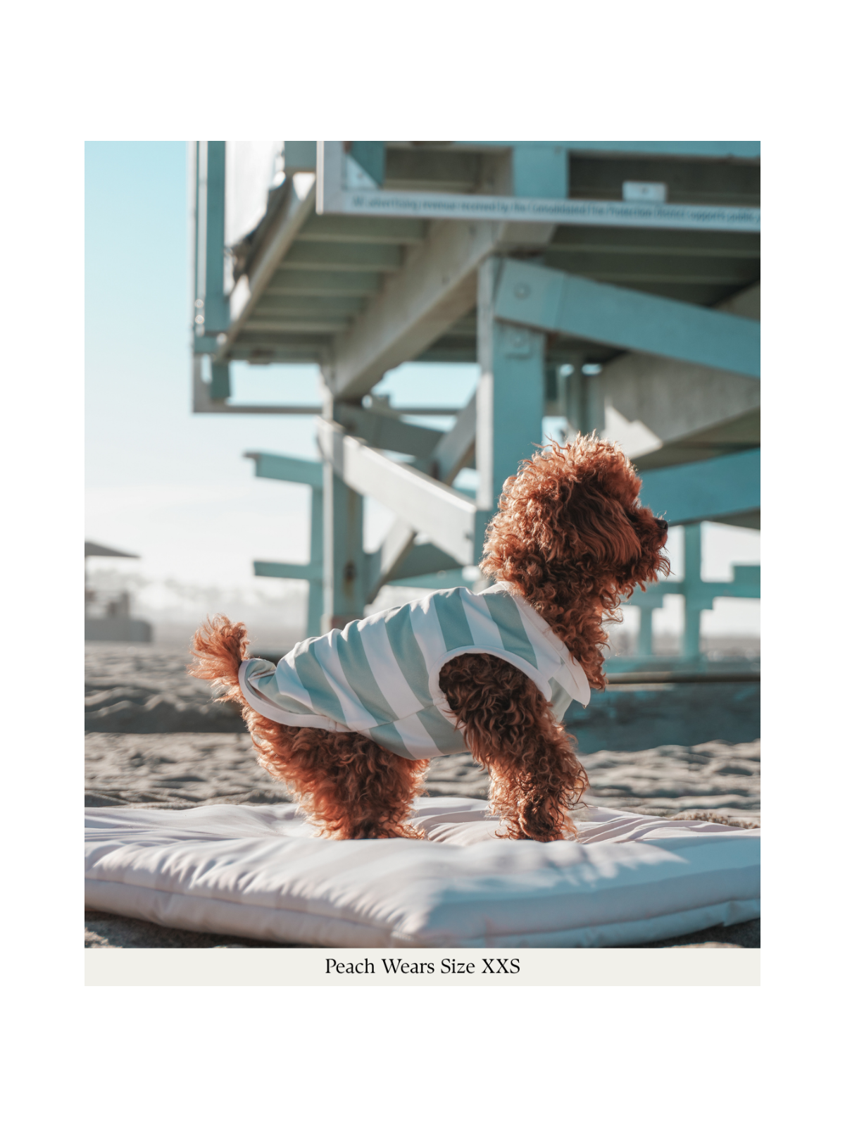 Summer Breeze Cooling Vest – Matcha
