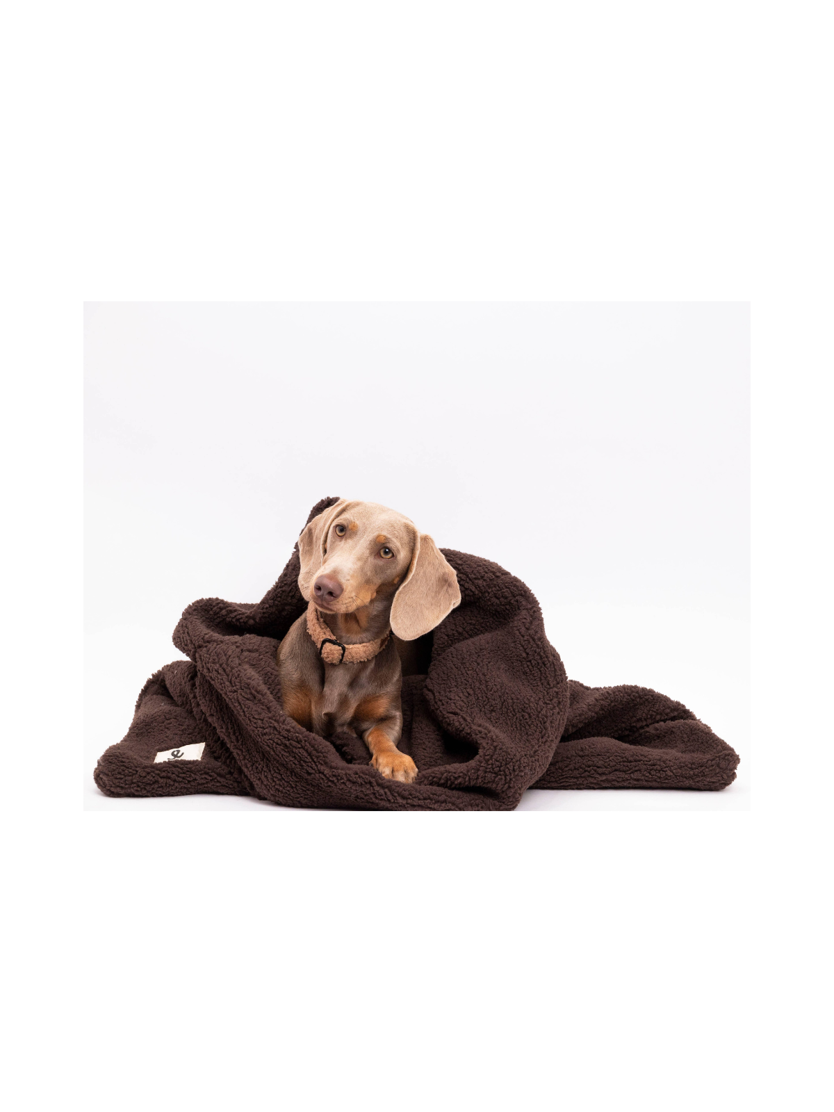 Teddy Cuddle Sleeping Bag – Chocolate