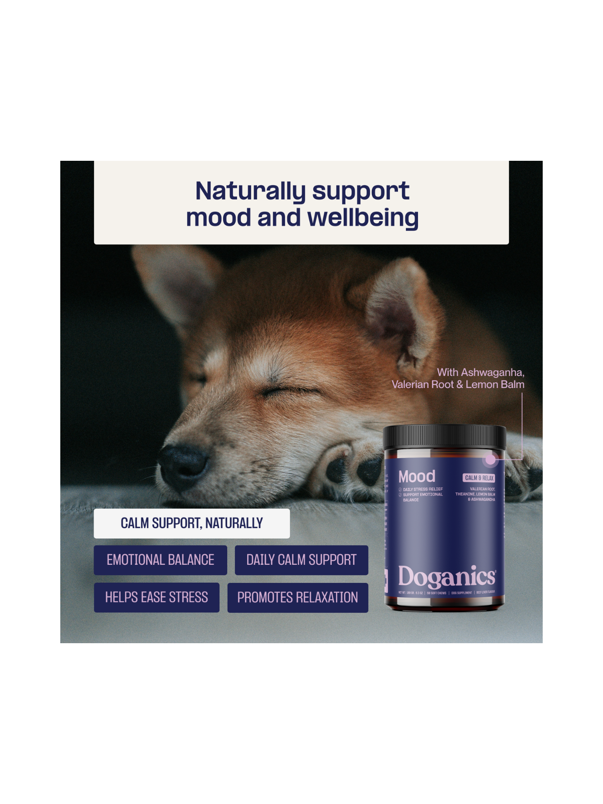 Mood Calm & Relax Soft Chews