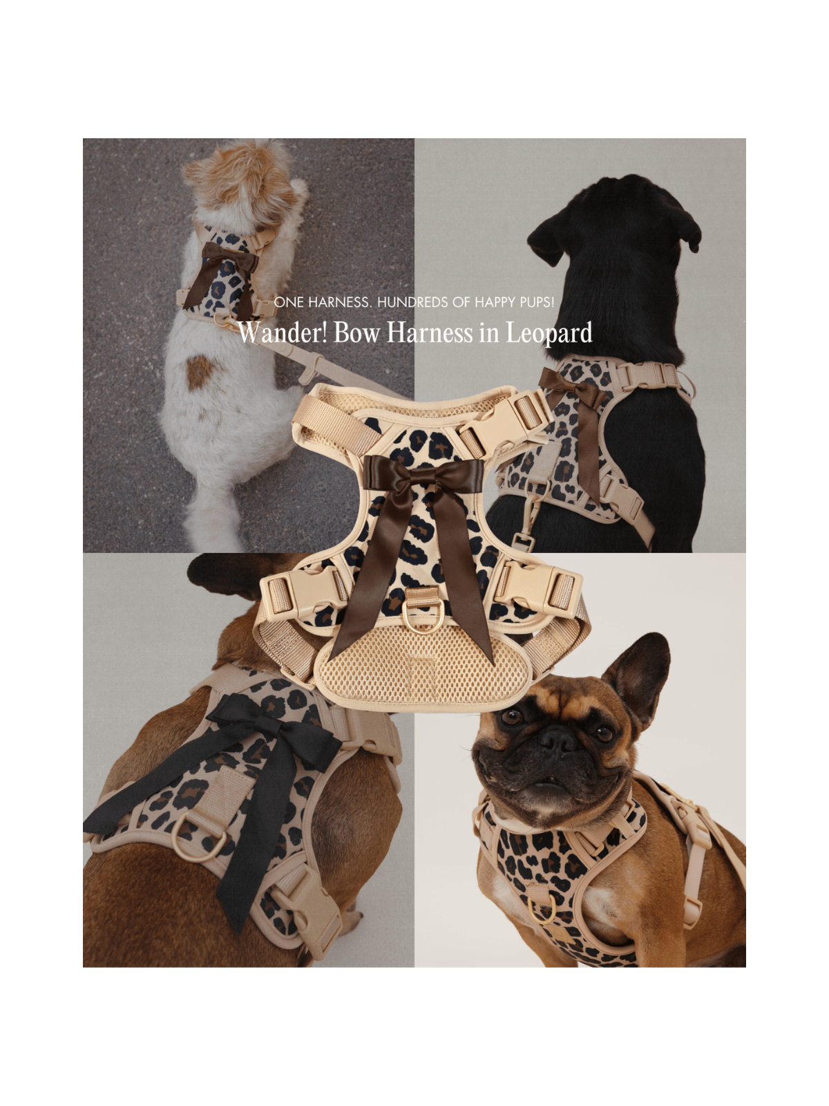 Wander! Bow Harness 2.0 – Leopard