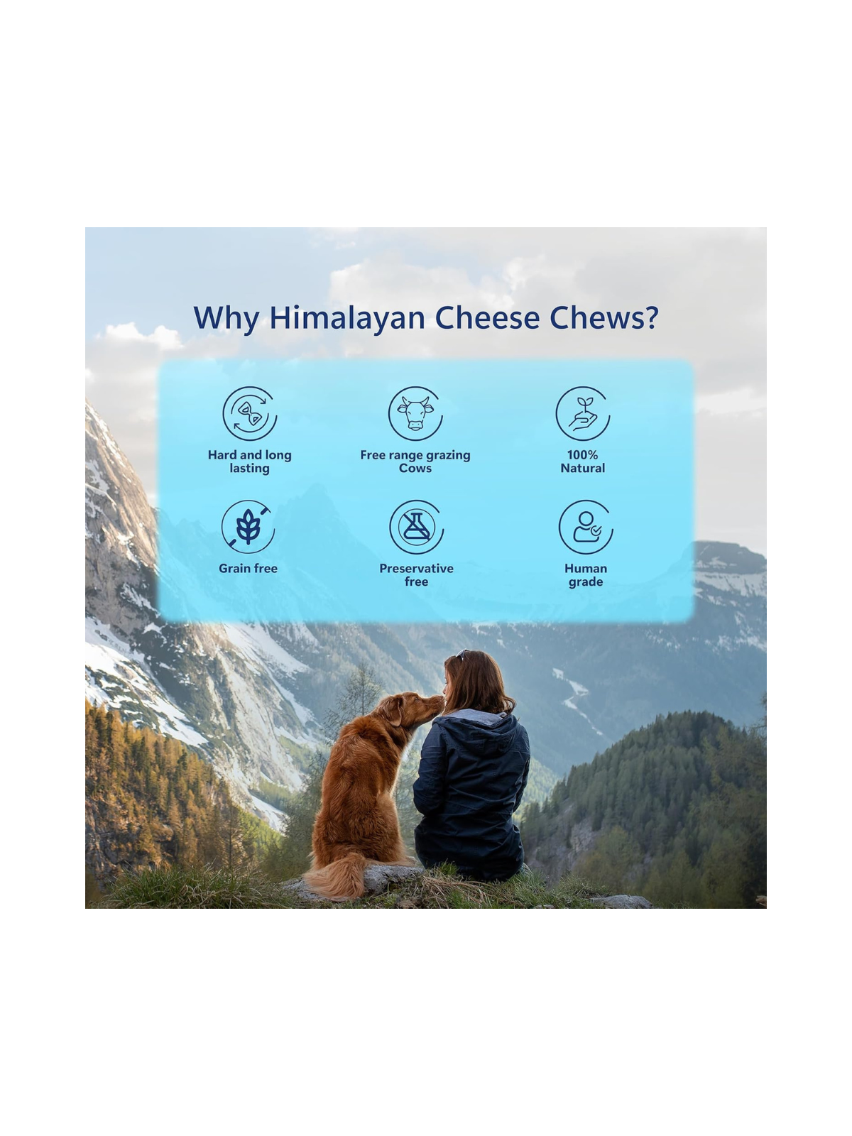 Himalayan Yak Cheese Bar