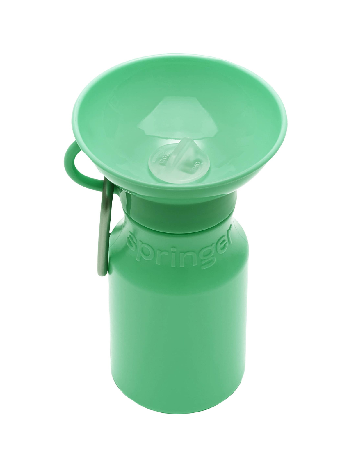 Travel Water Bottle (450ml) - Green