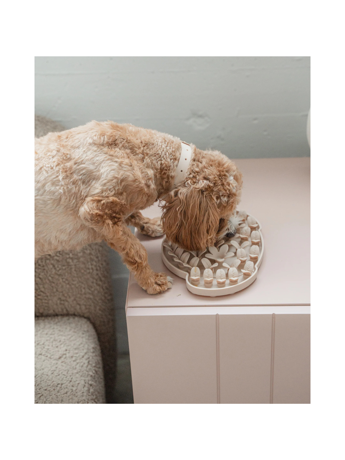 Dog Head Enrichment Snuffle Mat – Nude
