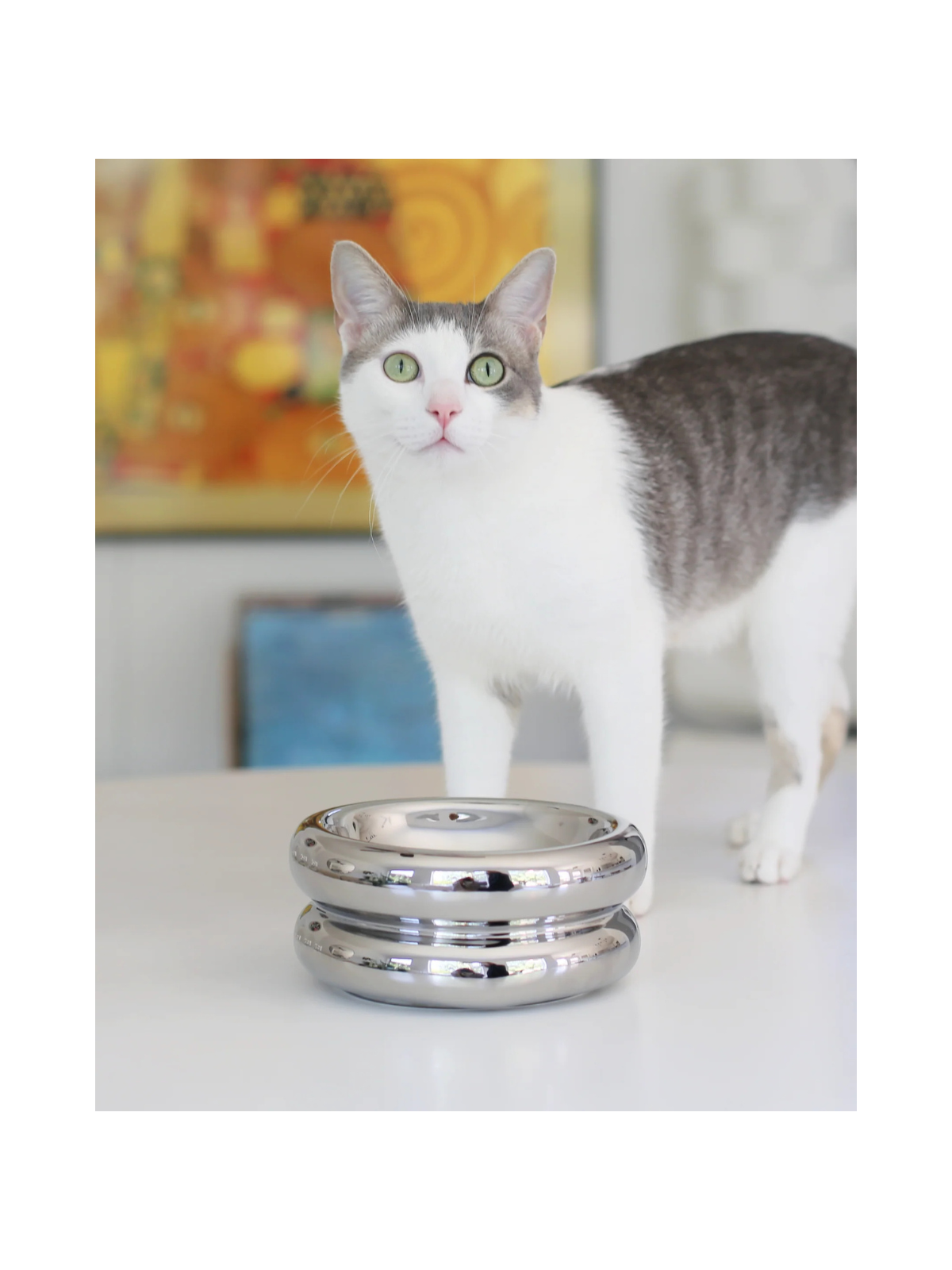 Chrome Elevated Halo Pet Bowl