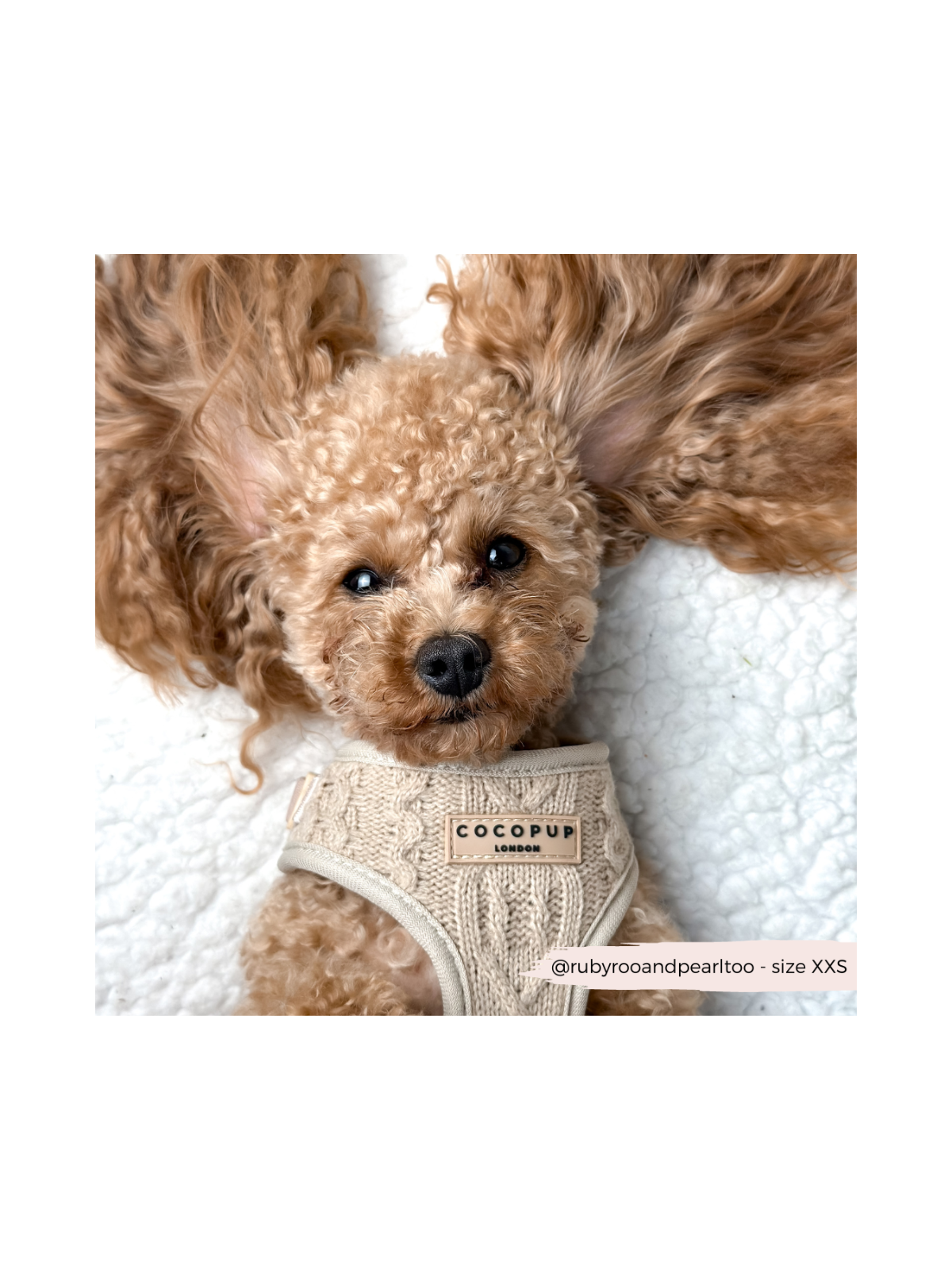 Cable Knit Jumper Adjustable Neck Harness - Toffee Beige