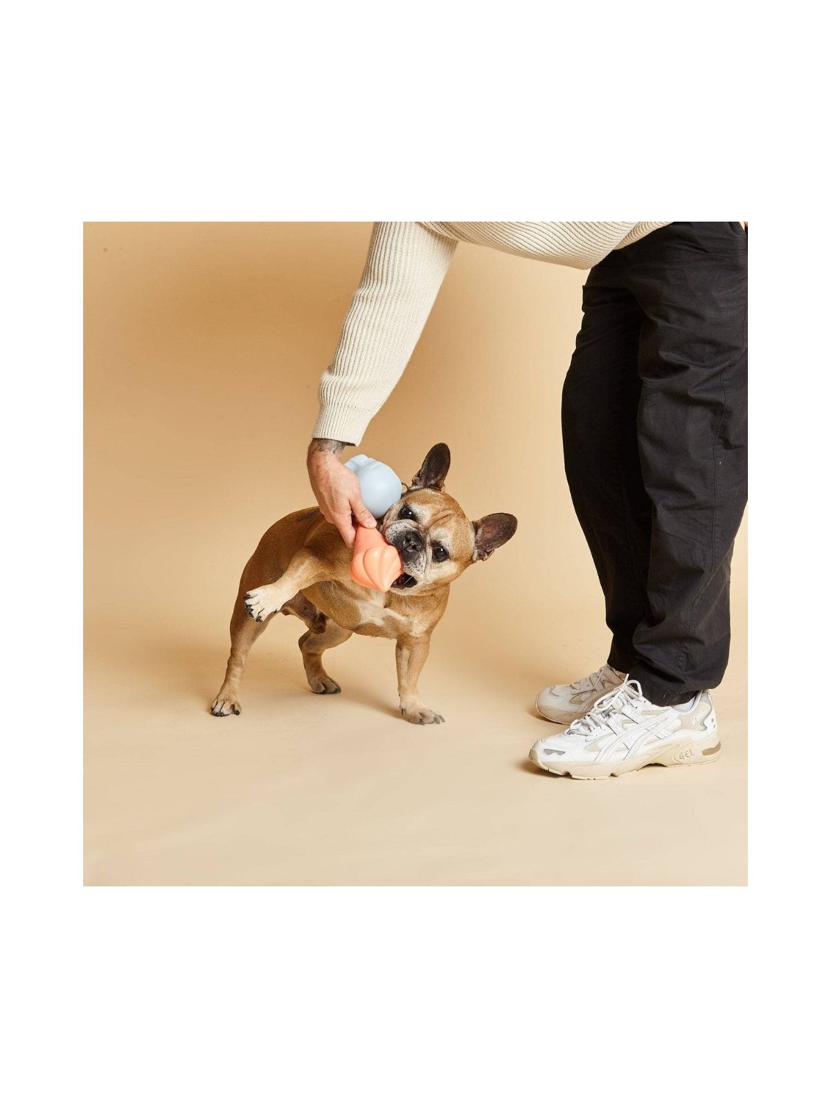 Ice Cream Cone Dog Toy