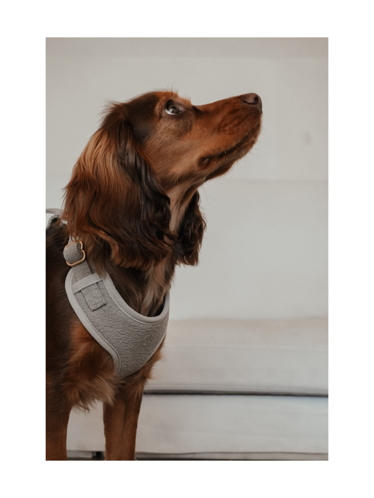Bouclé Adjustable Harness – Matcha