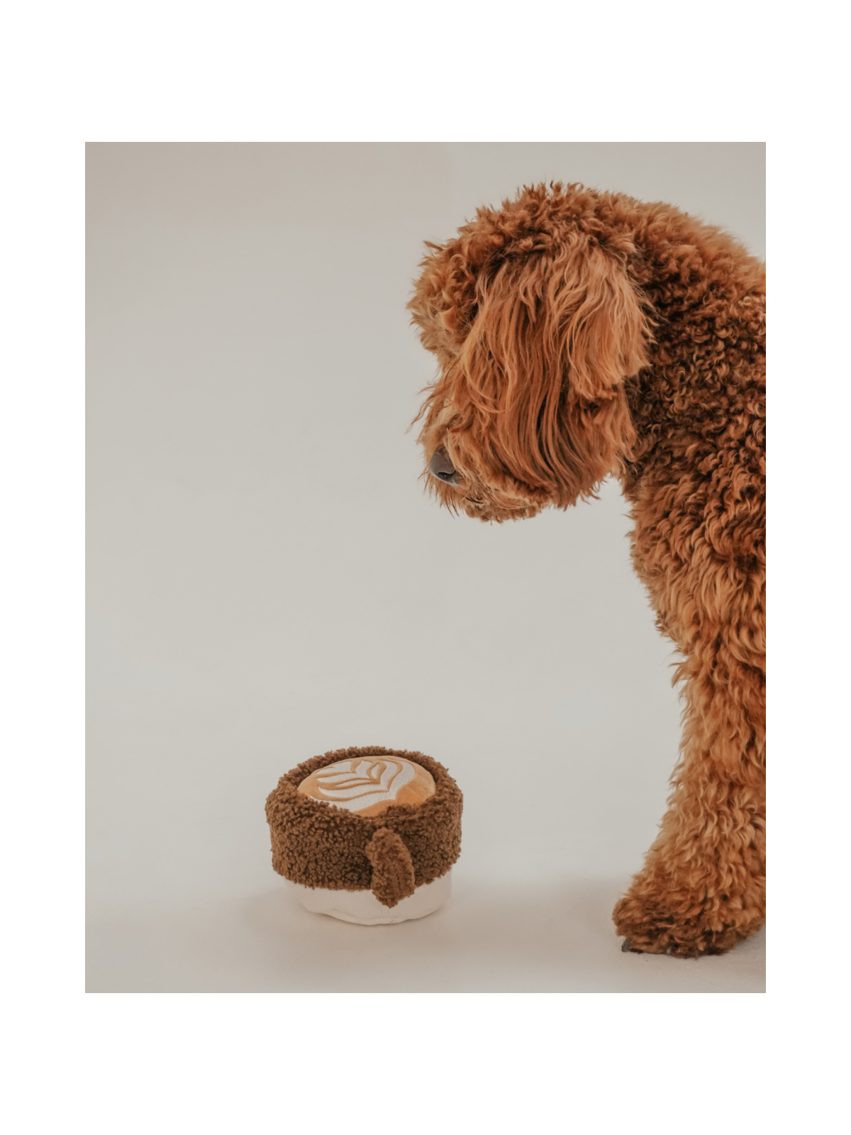 Flat White Cup Interactive Dog Toy