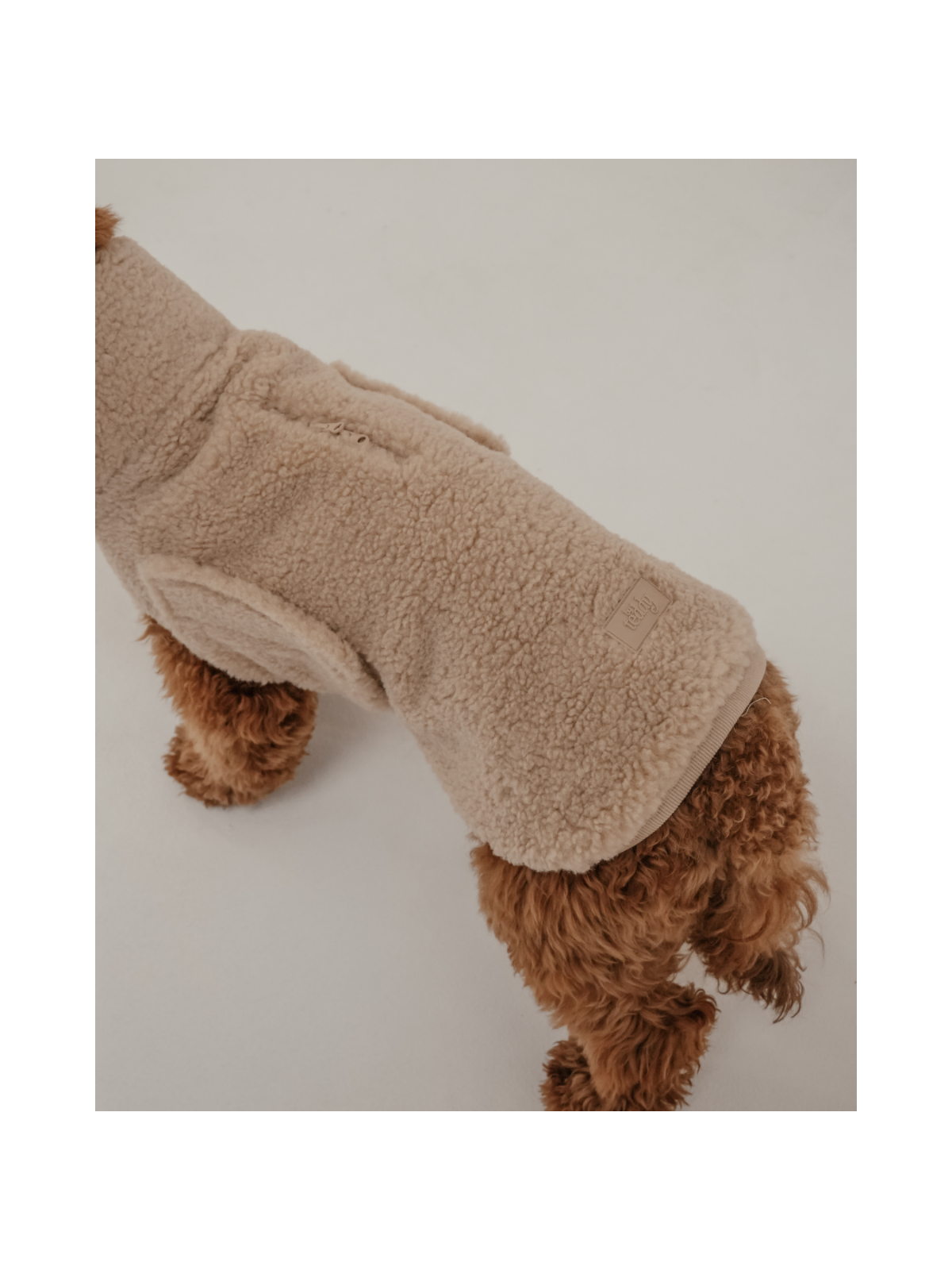 The Capsule Cosy Dog Coat
