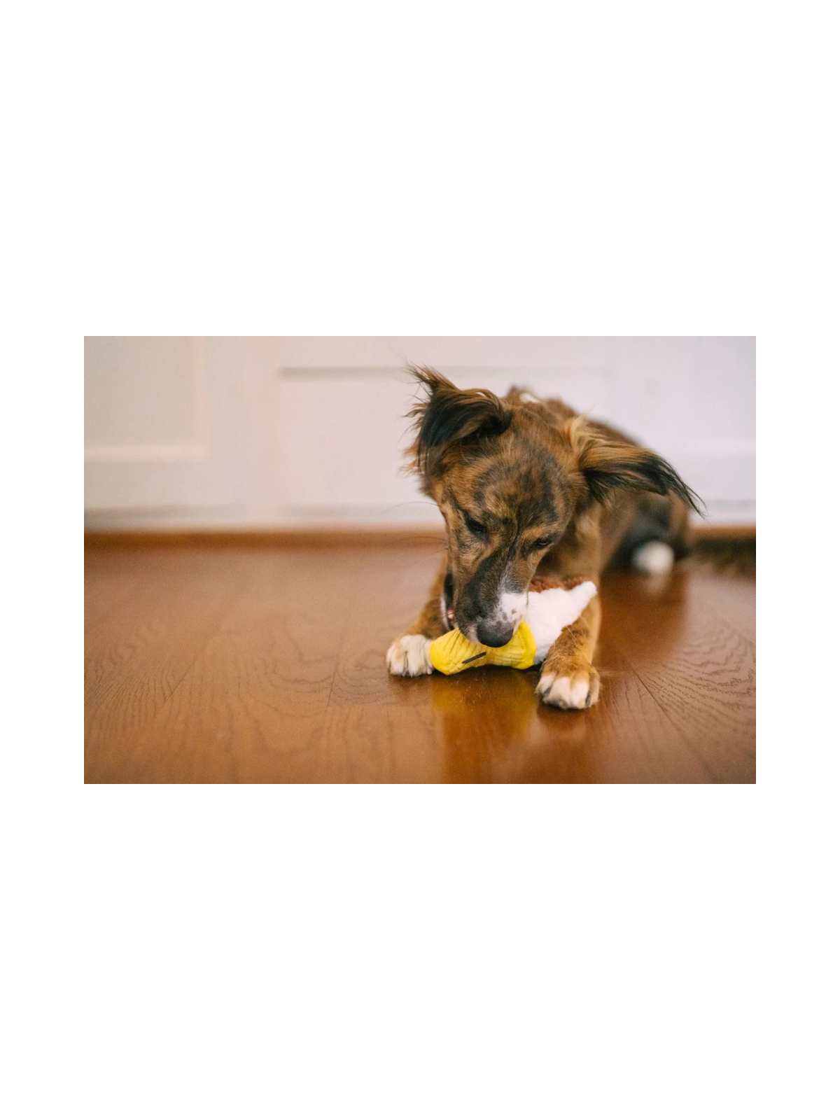 Snack Attack Swirls n Slobbers Soft Serve