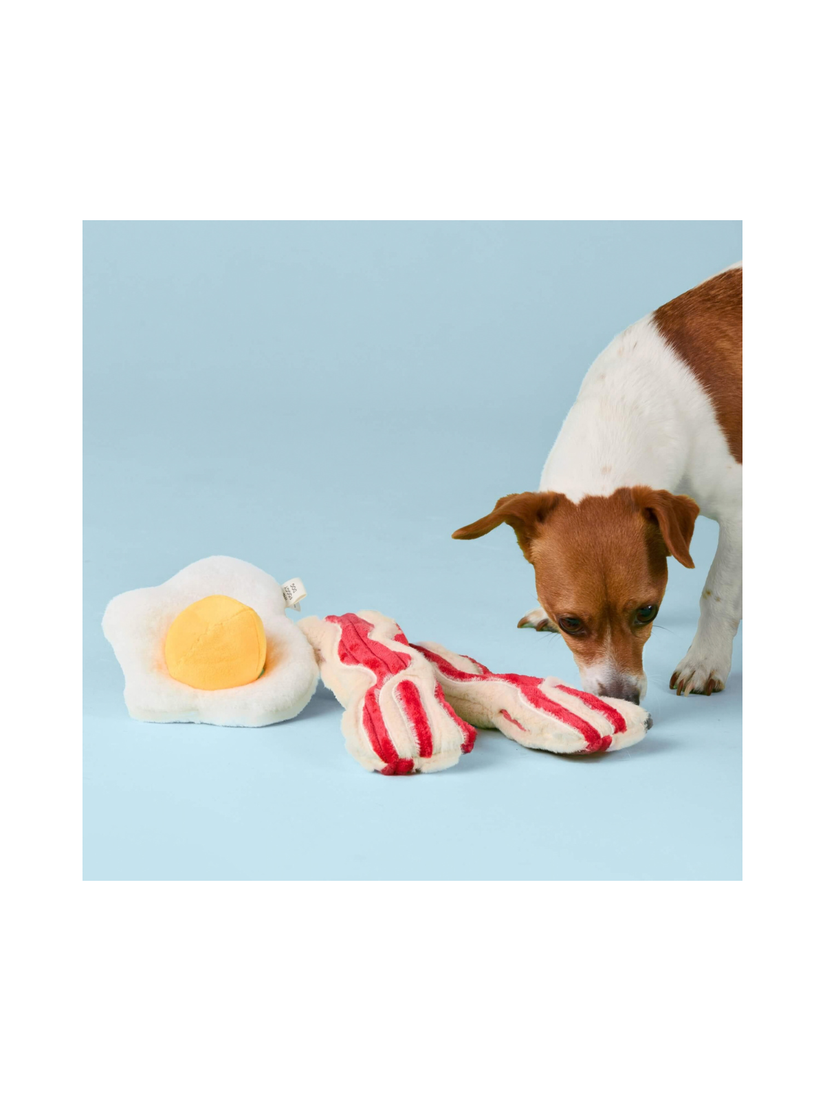 Bacon & Egg Interactive Dog Toy Set